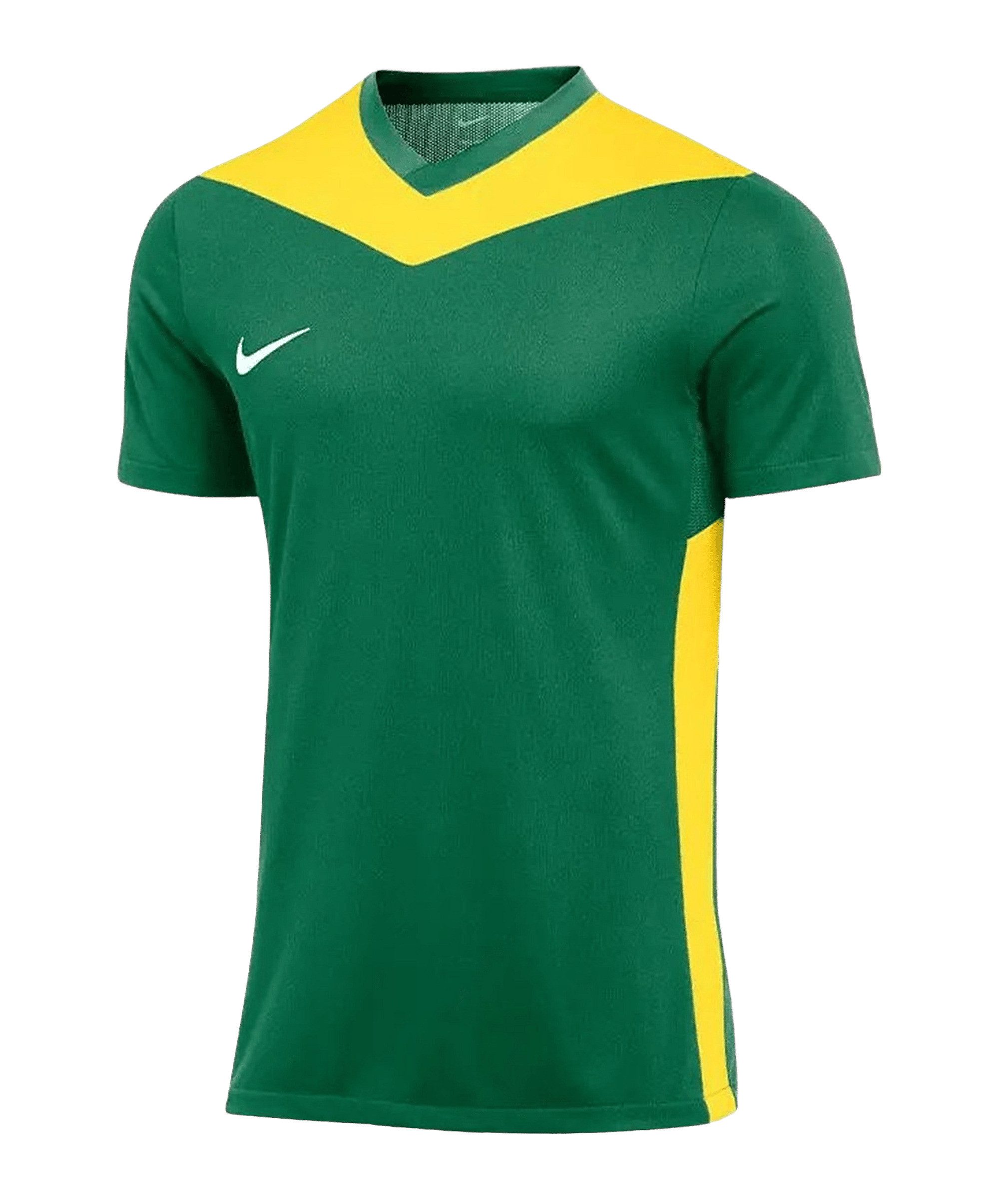Nike Fußballtrikot Nike Performance Park Derby IV Trikot Kids Teamsport