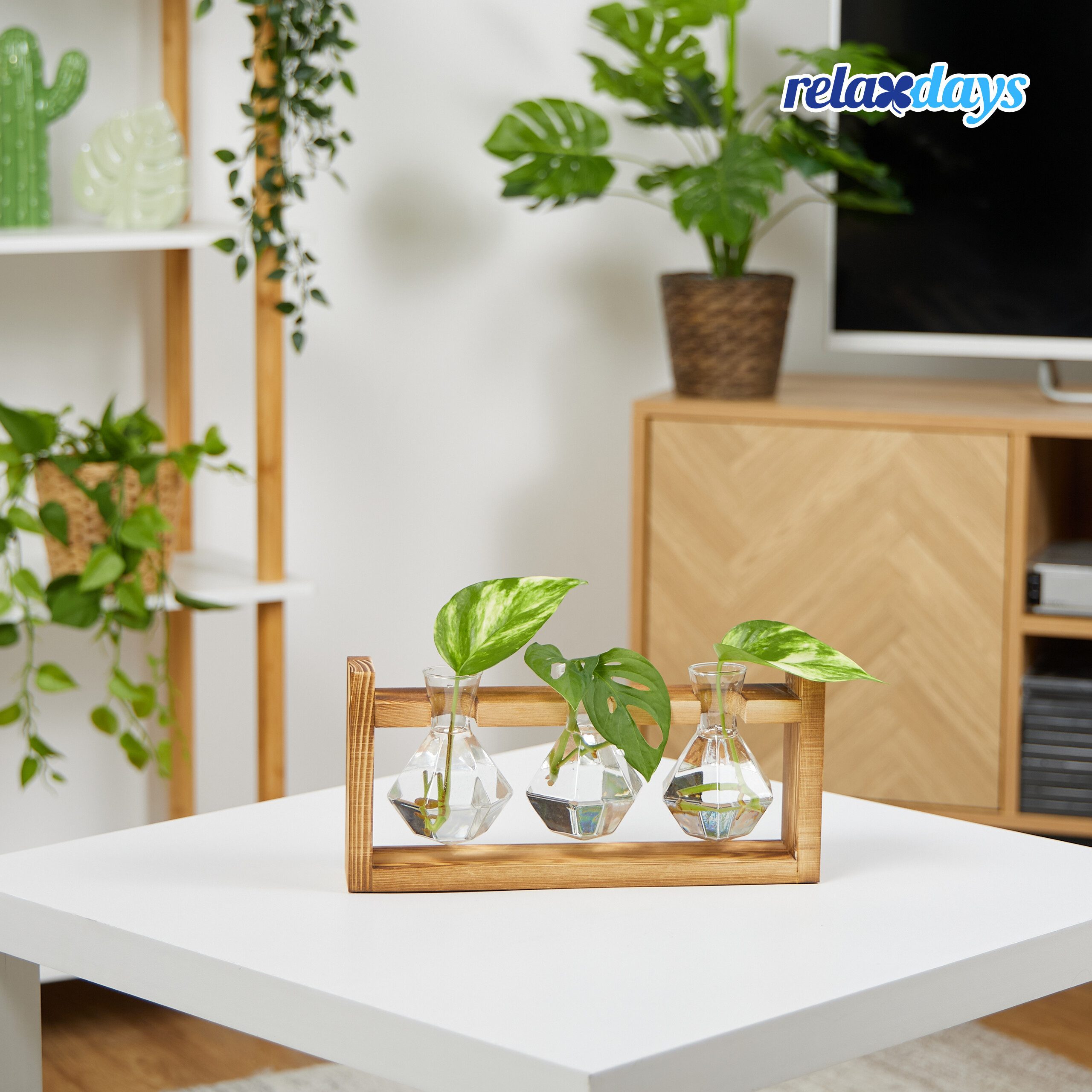 relaxdays Dekovase Reagenzglas Vase mit Ständer, C günstig online kaufen