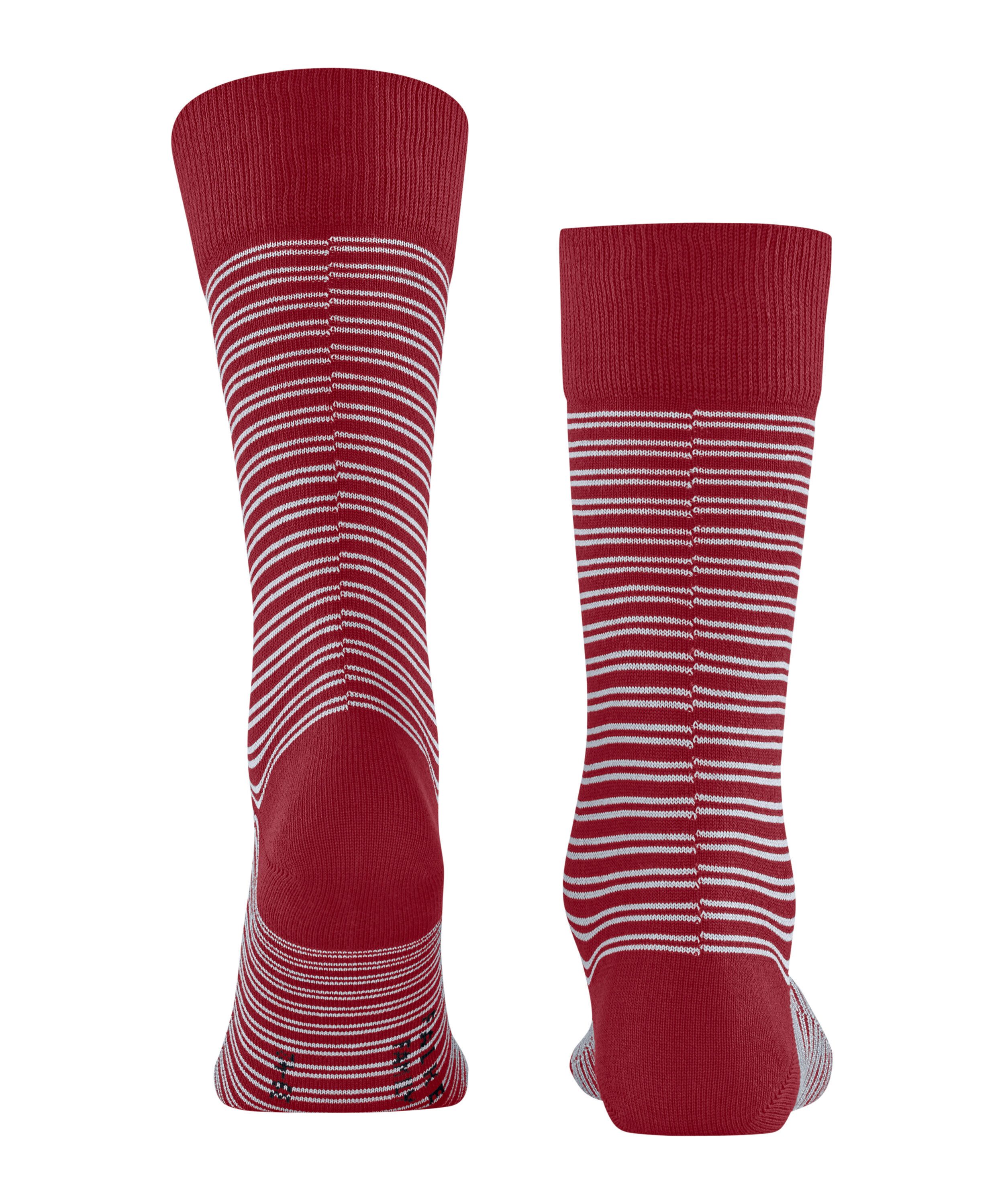 FALKE Socken Family Special Edition Socken (1-Paar) Perfekte FALKE-Passform