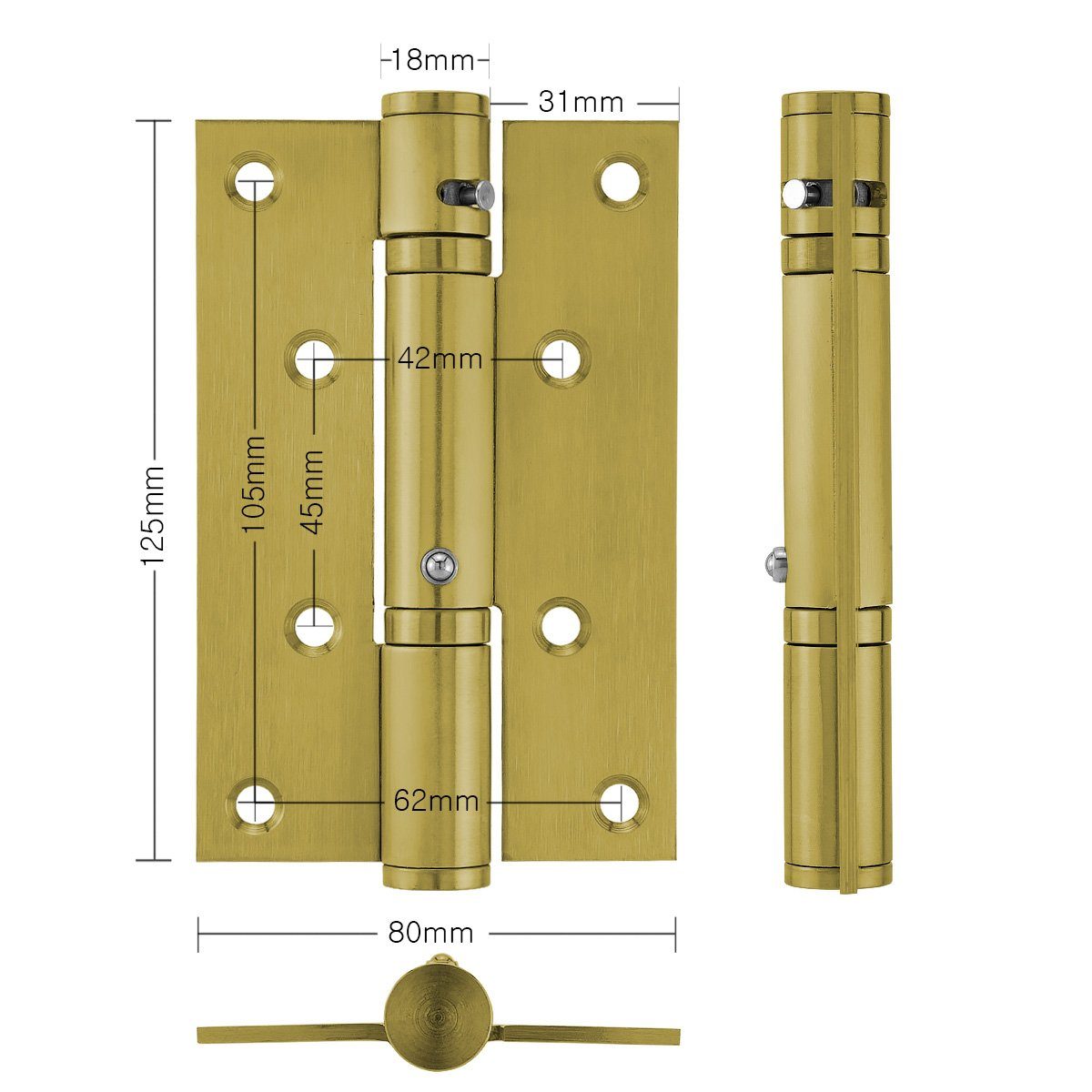 Kugellager, Gold selbstschließend, St) (4 Türbeschlag mit Türscharnier Hydraulisches, MidGard