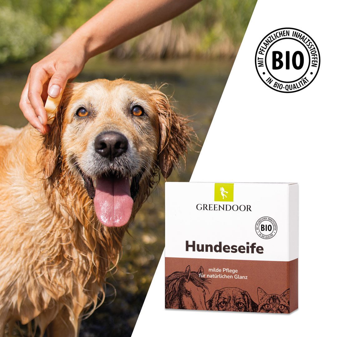 GREENDOOR Tiershampoo Hundeseife für glänzendes Fell