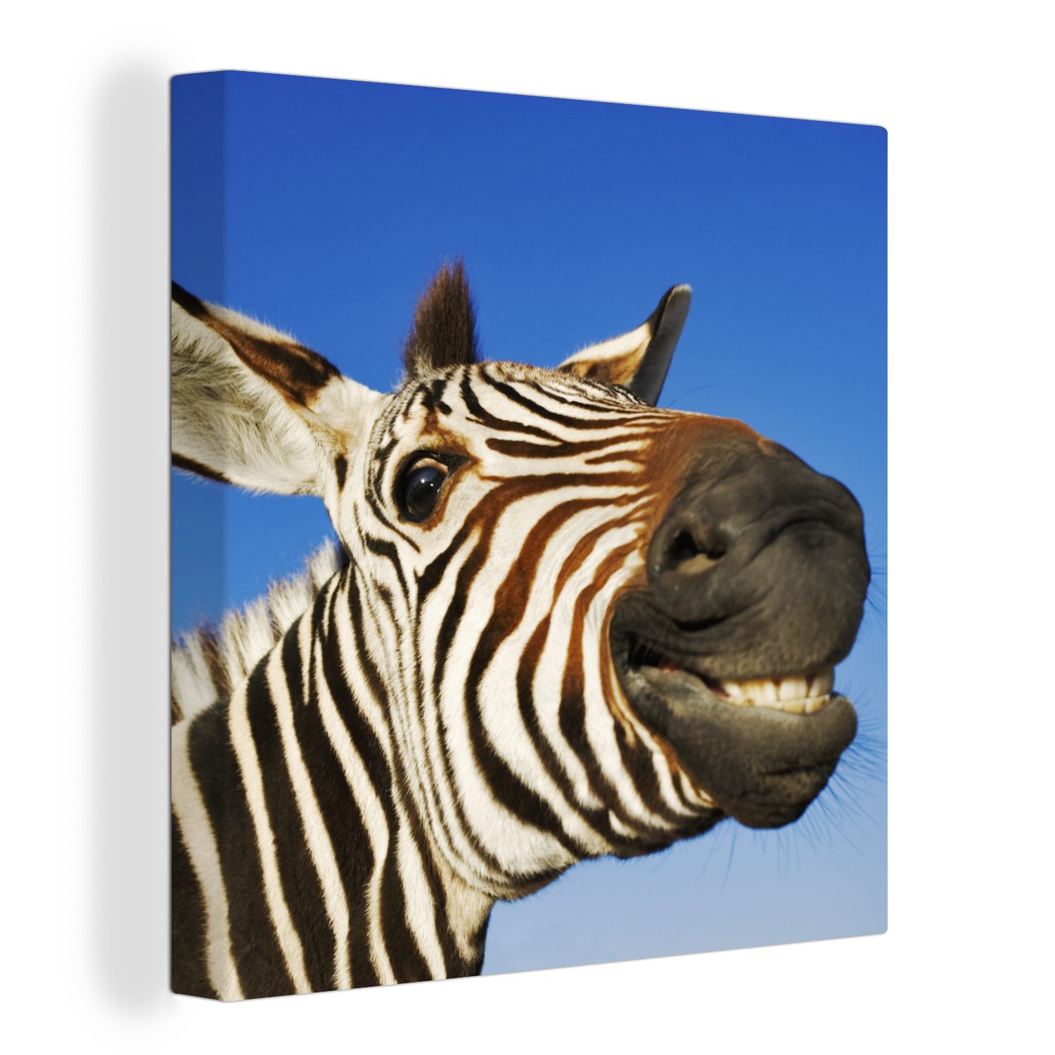 OneMillionCanvasses® Leinwandbild Zebra Jungen - Leinwand für Mädchen, Schlafzimmer Lustig Kinder - Wohnzimmer - St), - Bilder (1
