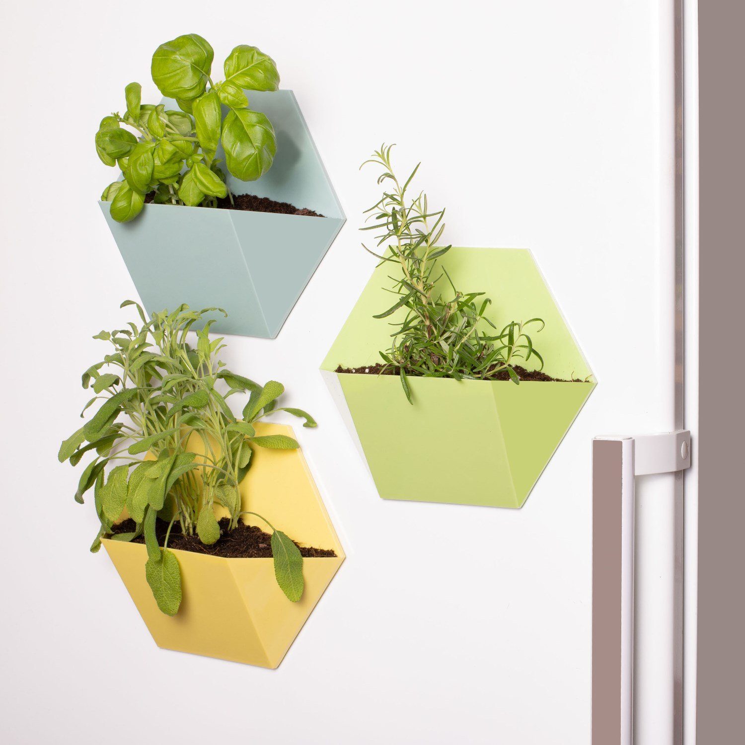 Thumbs Up Pots, (3er Blumentöpfe Magnetic Set) Magnetisch Blumentopf - Magnetische Plant