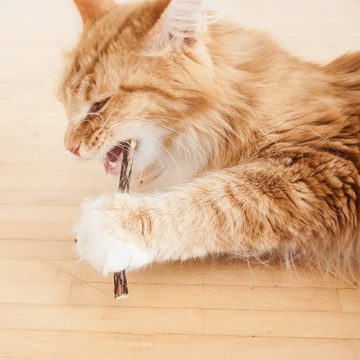 LucyBalu Tier-Intelligenzspielzeug 6x Matatabi Sticks für Katzen zur Katzen Zahnpflege & Katzenspielzeug, (6-tlg)