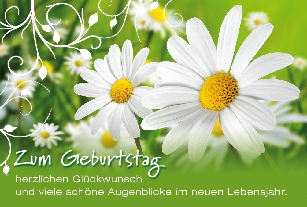 BSB Grußkarten Geburtstag - Glückwunschkarte im Format 11,5 x 17 cm mit Briefumschlag