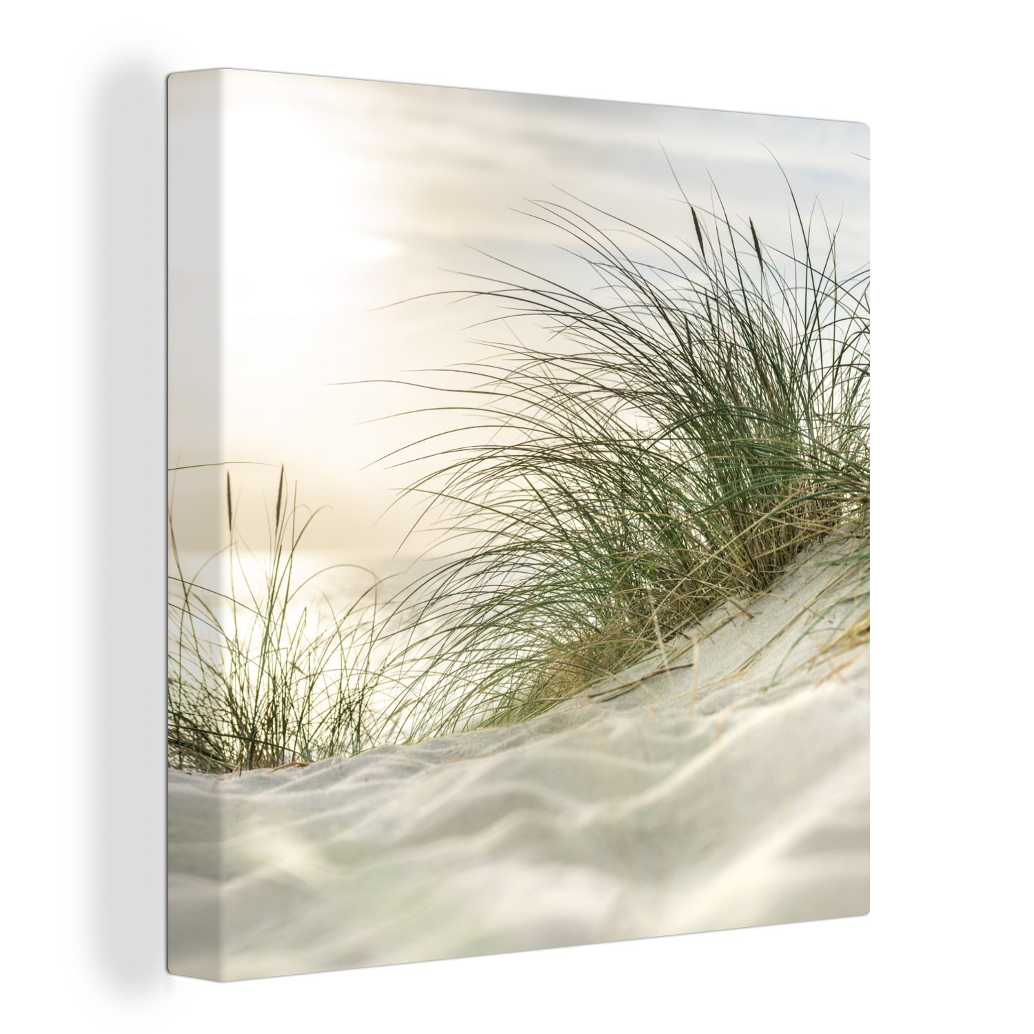 OneMillionCanvasses® Leinwandbild Dünen mit Strandhafer in günstig online kaufen