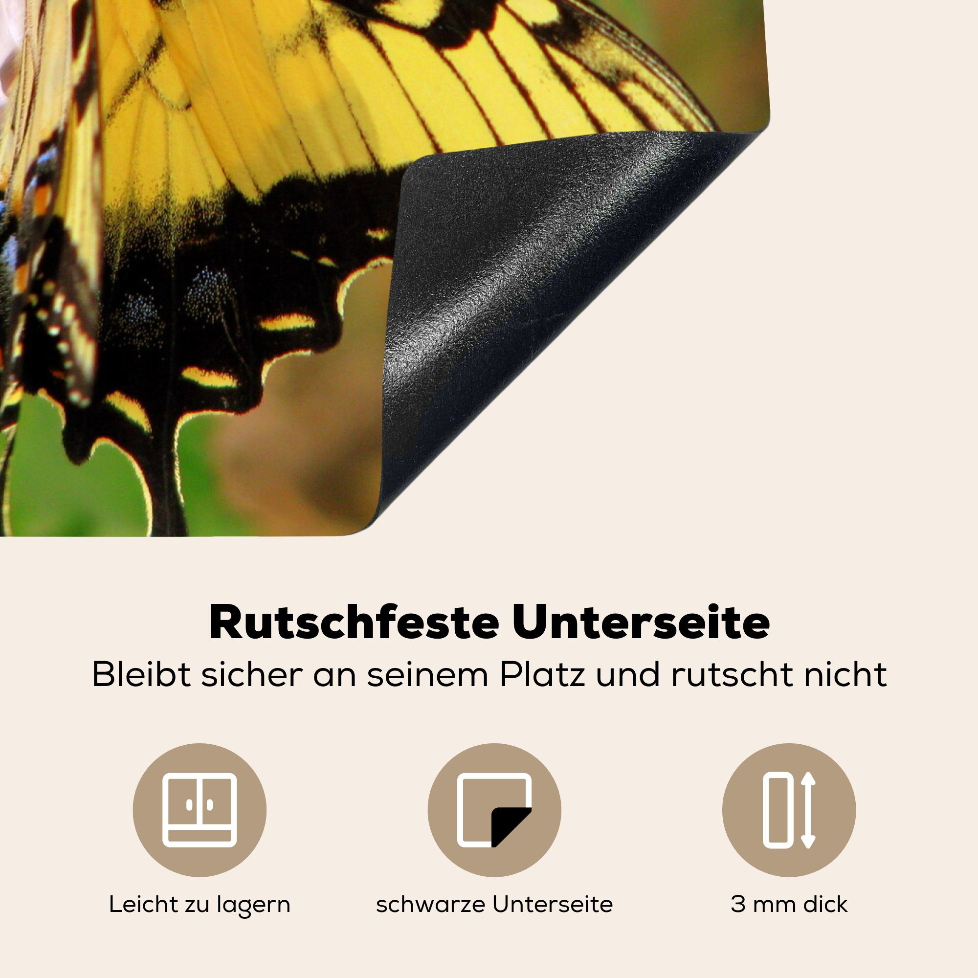 60x52 Herdblende-/Abdeckplatte in Papilio rosa Schmetterling einer glaucus cm, Vinyl, Mobile tlg), der Arbeitsfläche Blüte, nutzbar, Nähe Ceranfeldabdeckung (1 MuchoWow
