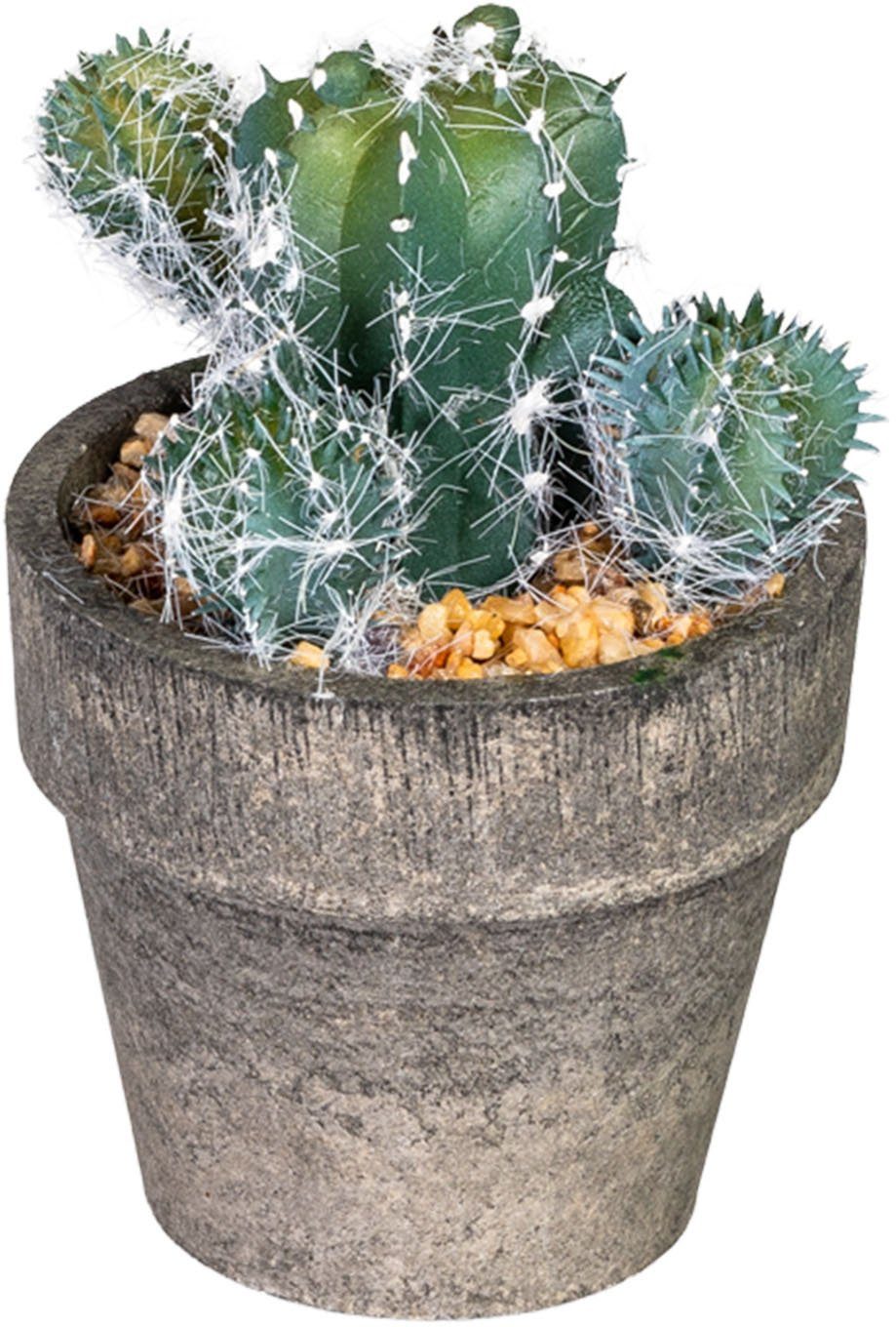  UNUS Home Kunstpflanze klein in 3er Set, Kaktus Deko im Glas mit  Korkdeckel und Seilband, Kaktus künstlich, Mini Deko Sukkulente für  Wohnzimmer, Küche, Bad, Büro