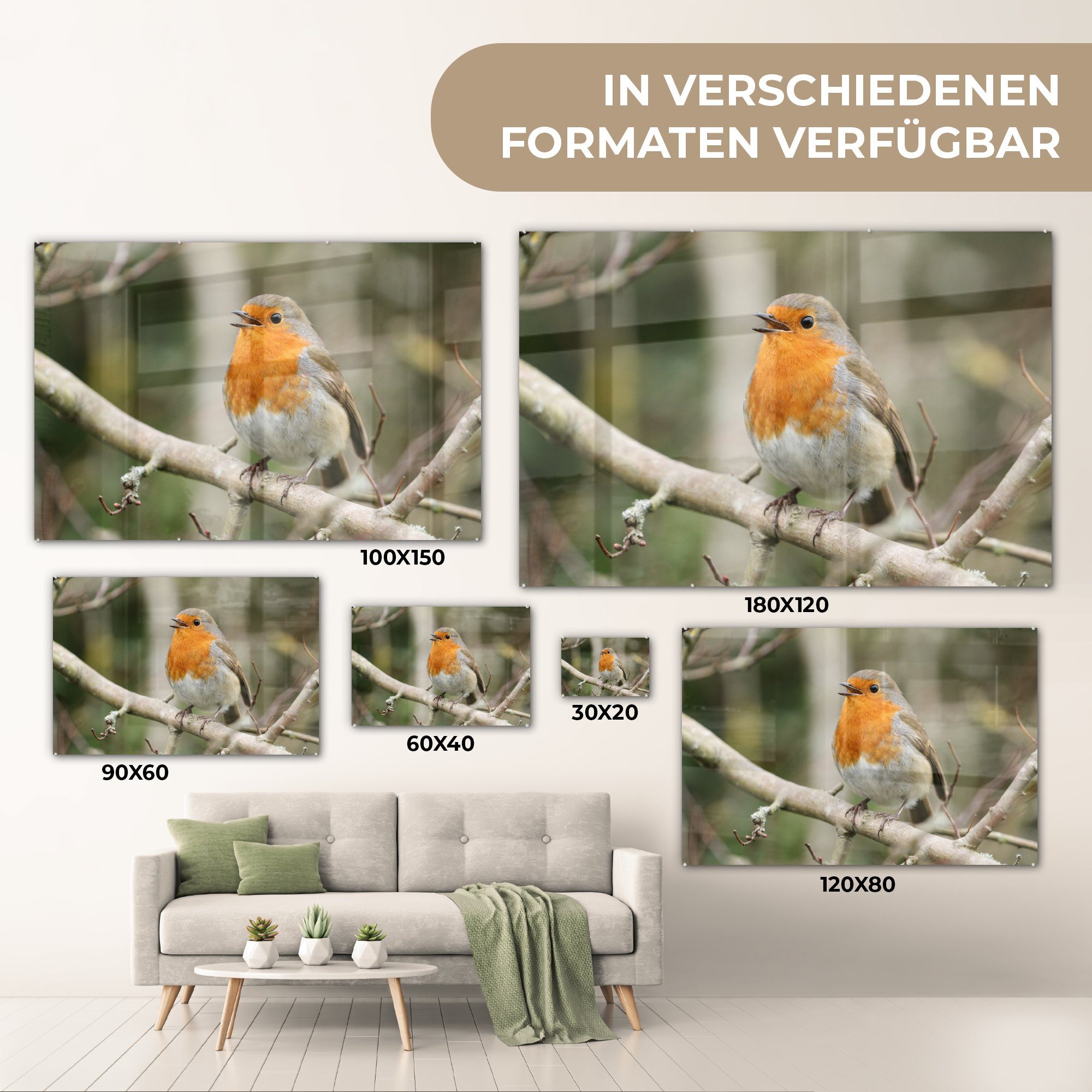 (1 & St), Tiere Schlafzimmer - Acrylglasbilder Lied, Acrylglasbild MuchoWow - Wohnzimmer Robin