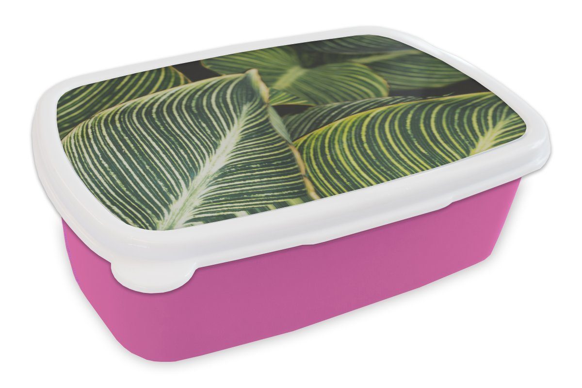 rosa - Natur Kunststoff MuchoWow Blätter Mädchen, Brotdose Kinder, Lunchbox - Brotbox für Erwachsene, Snackbox, (2-tlg), Kunststoff, Pflanzen,
