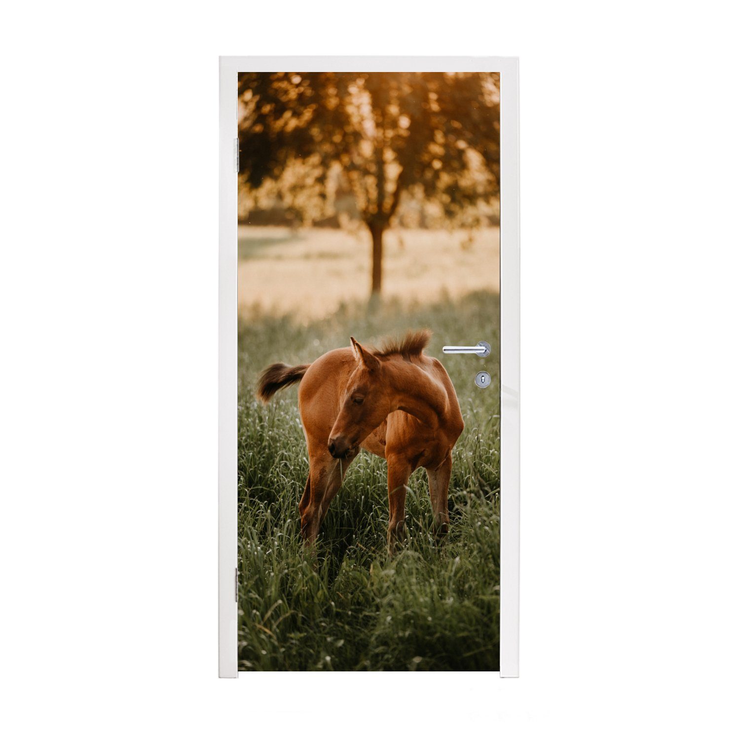 - Matt, Baum, Fototapete für - MuchoWow Türaufkleber, cm Türtapete Gras Pferd (1 Tür, 75x205 St), bedruckt,