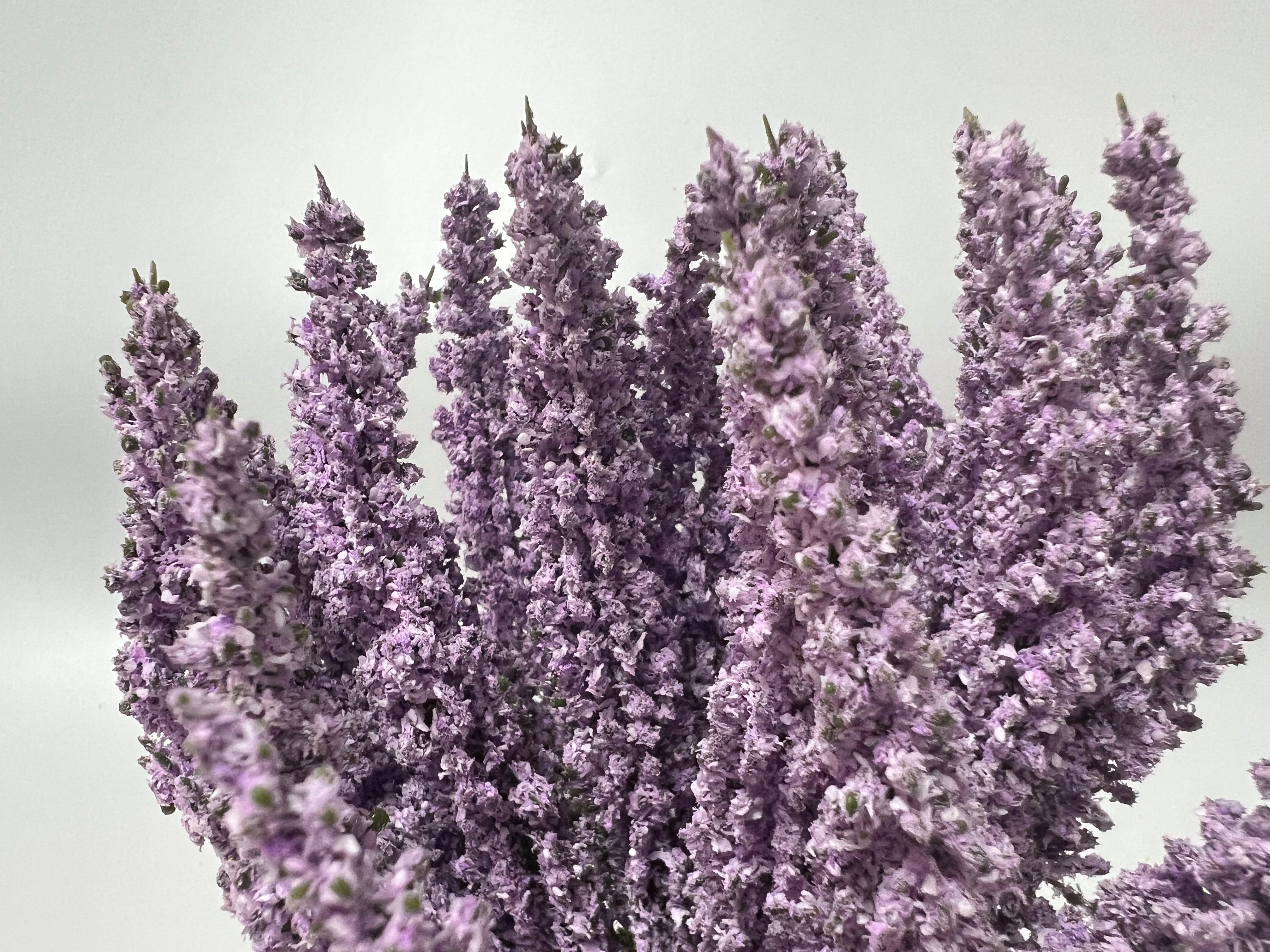 Kunstblume Erika Calluna auf Steckstab, Heidekraut 28cm mit 24 Blütenstiele, mucPlants – Bild 3 von 3