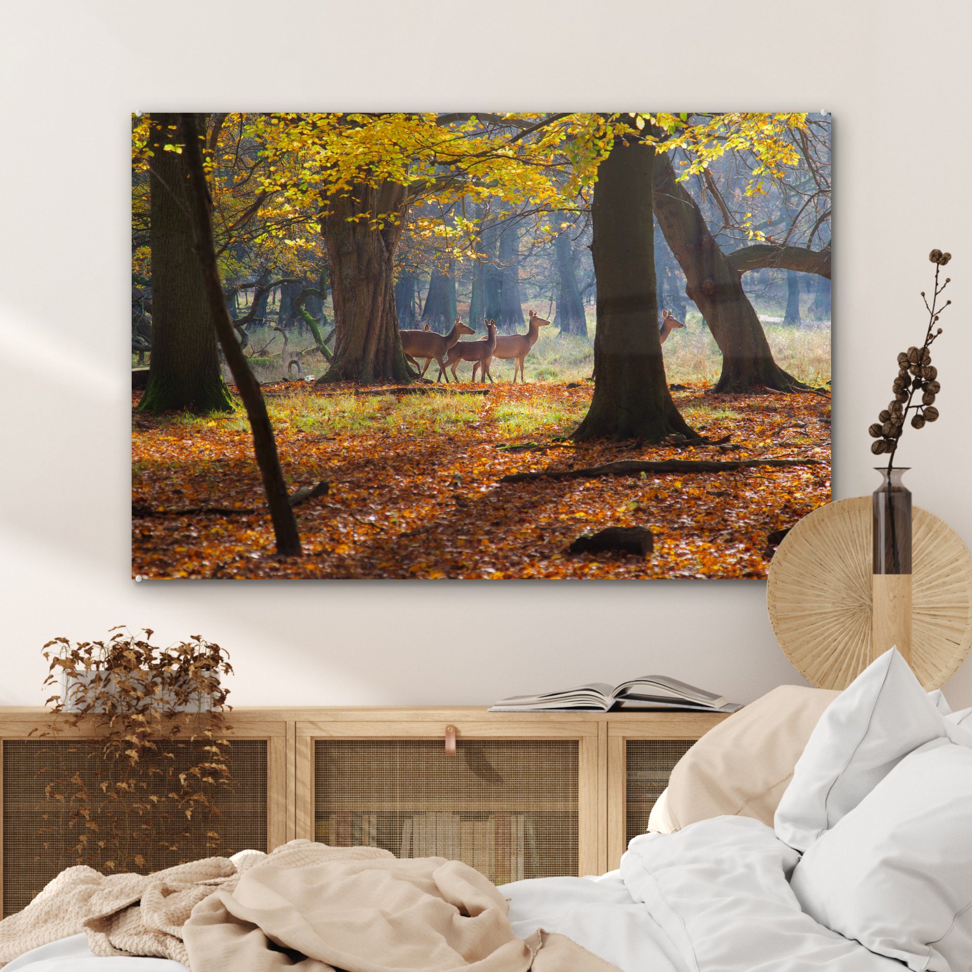 Dänemark, Hirsche in & MuchoWow (1 Wohnzimmer einem Acrylglasbilder in Schlafzimmer Acrylglasbild Wald St),