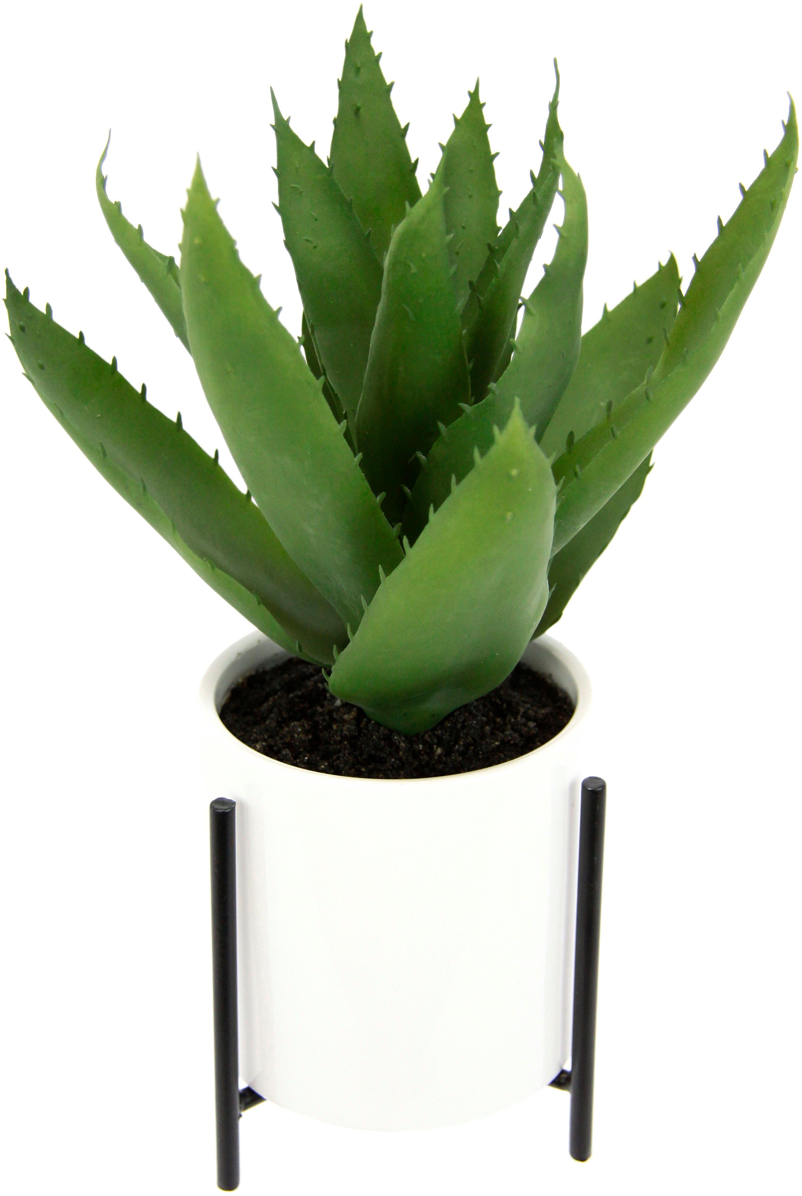 Kunstpflanze Jonna Agave, andas, Höhe 29 cm, im Topf