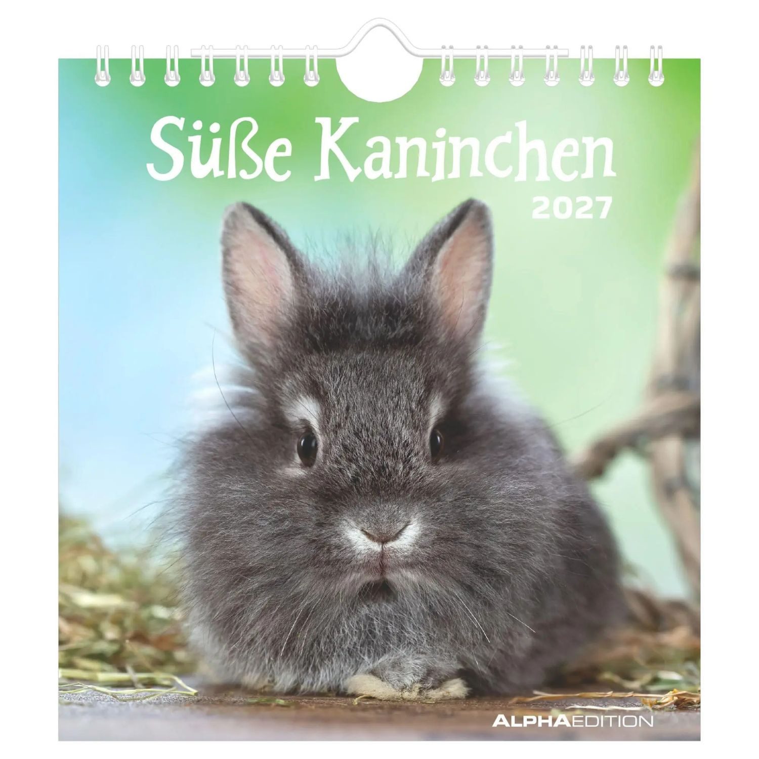 NEUMANN Wandkalender Süße Kaninchen 2027