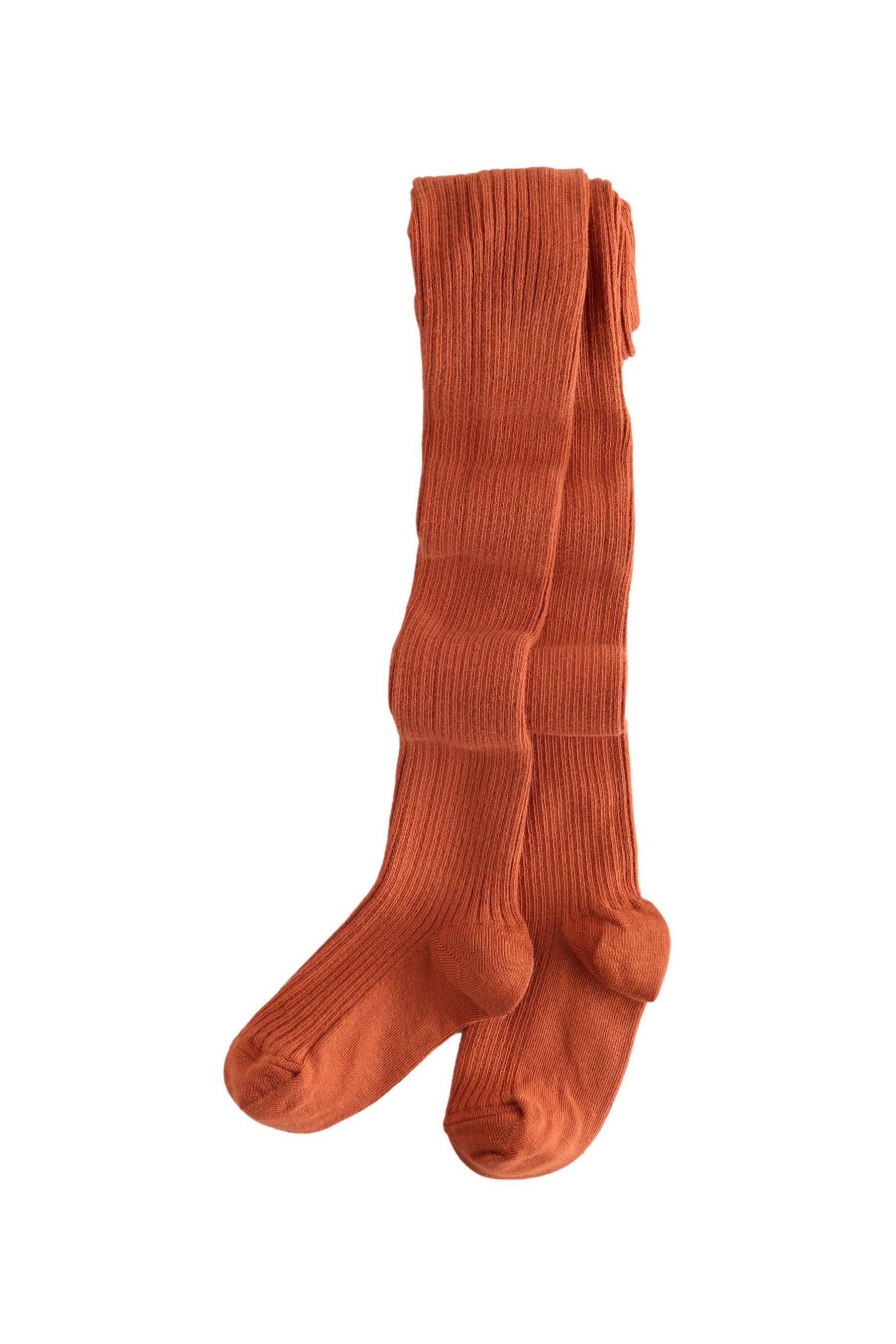 Next Strickstrumpfhose Strumpfhose in normaler Länge mit Zopfmuster (1 St)