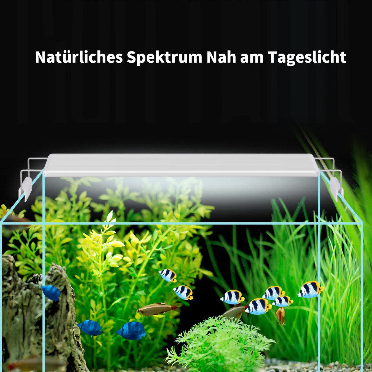 yozhiqu LED Aquariumleuchte LED-Fischbeckenleuchte, Zierfischbeleuchtung Tauchklemmleuchte, Verleiht dem Aquarium Schönheit und dekorative Wirkung