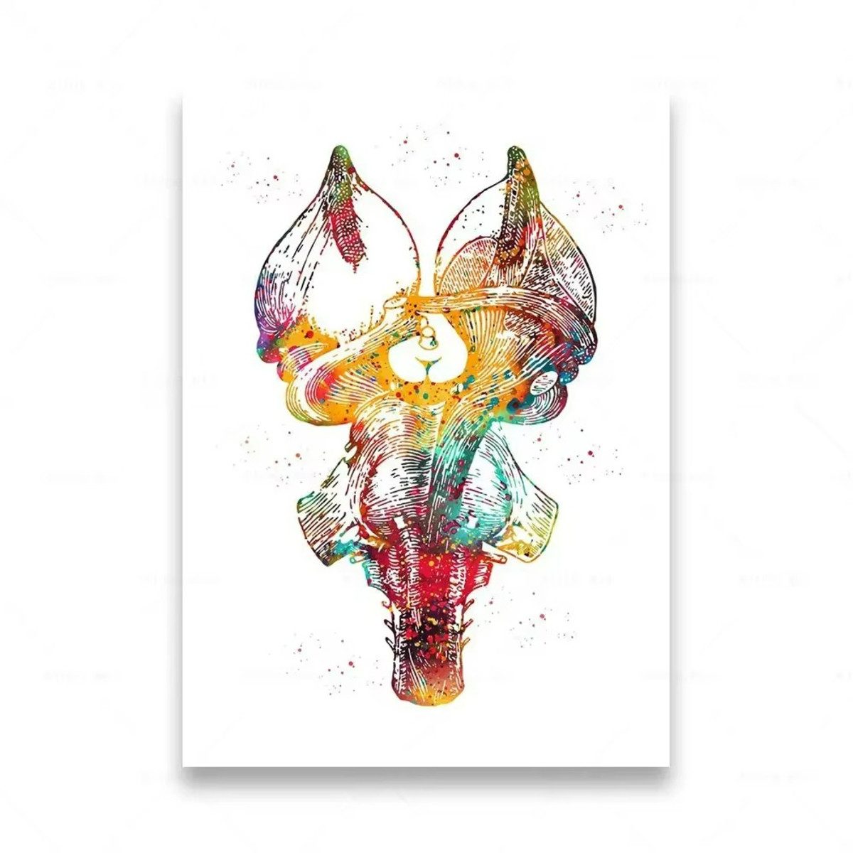 TPFLiving Kunstdruck (OHNE RAHMEN) Poster - Leinwand - Wandbild, Menschliche Anatomie, Wirbelsäule, Herz, Gehirn, Zähne, HD-Leinwand (Leinwandbild XXL), Farben: Orange, Rot, Blau, Schwarz, Weiß, Rosa -Größe: 30x40cm
