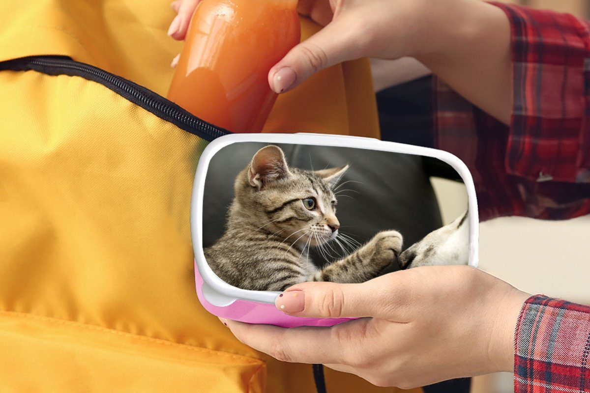MuchoWow Lunchbox Katze - Kunststoff für Brotdose Kinder, (2-tlg), Kunststoff, rosa Erwachsene, - Mädchen, Pfote, Snackbox, Hund Brotbox