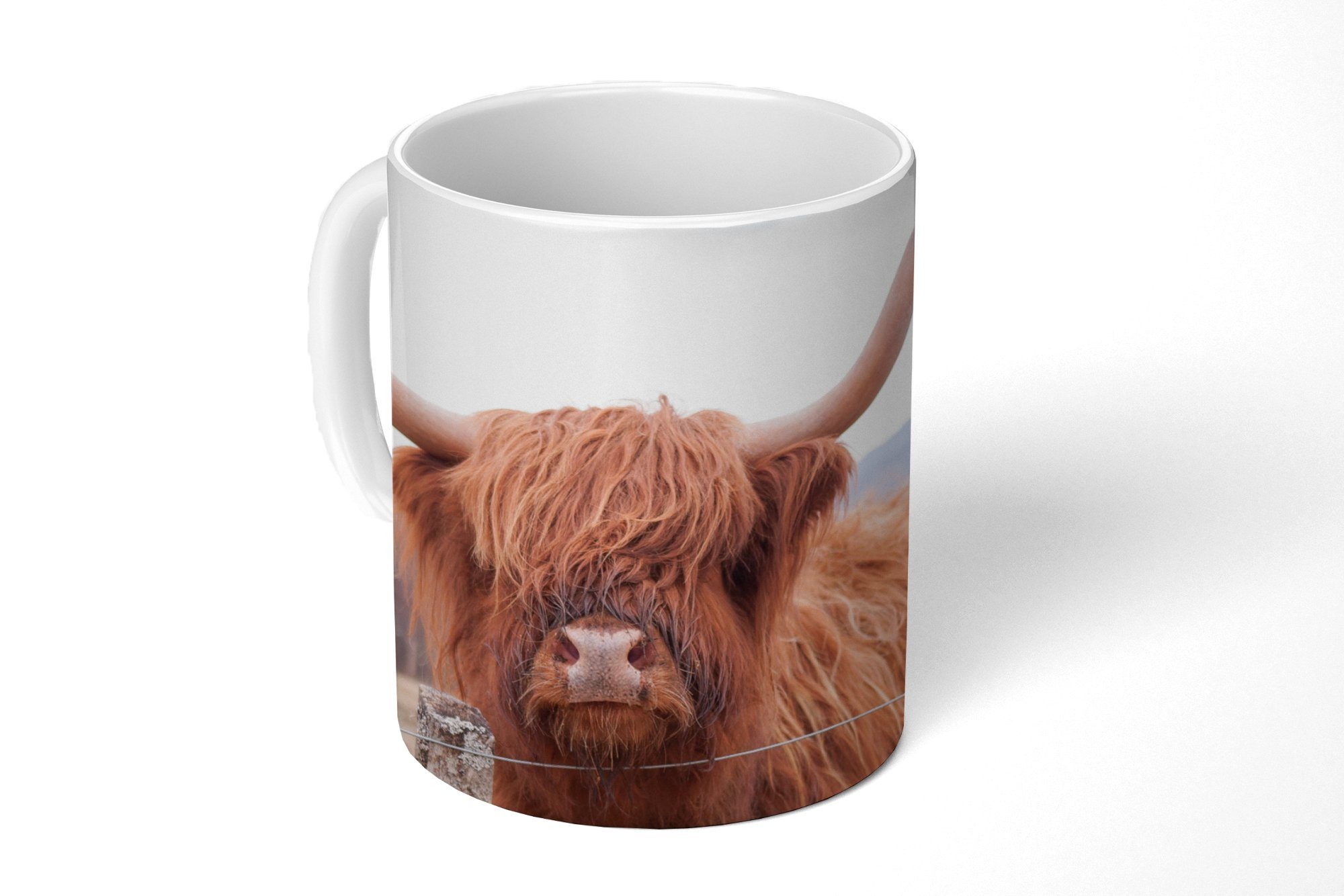 MuchoWow Tasse Scottish Highlander - Gras - Zaun, Keramik, Kaffeetassen, Teetasse, Becher, Teetasse, Geschenk
