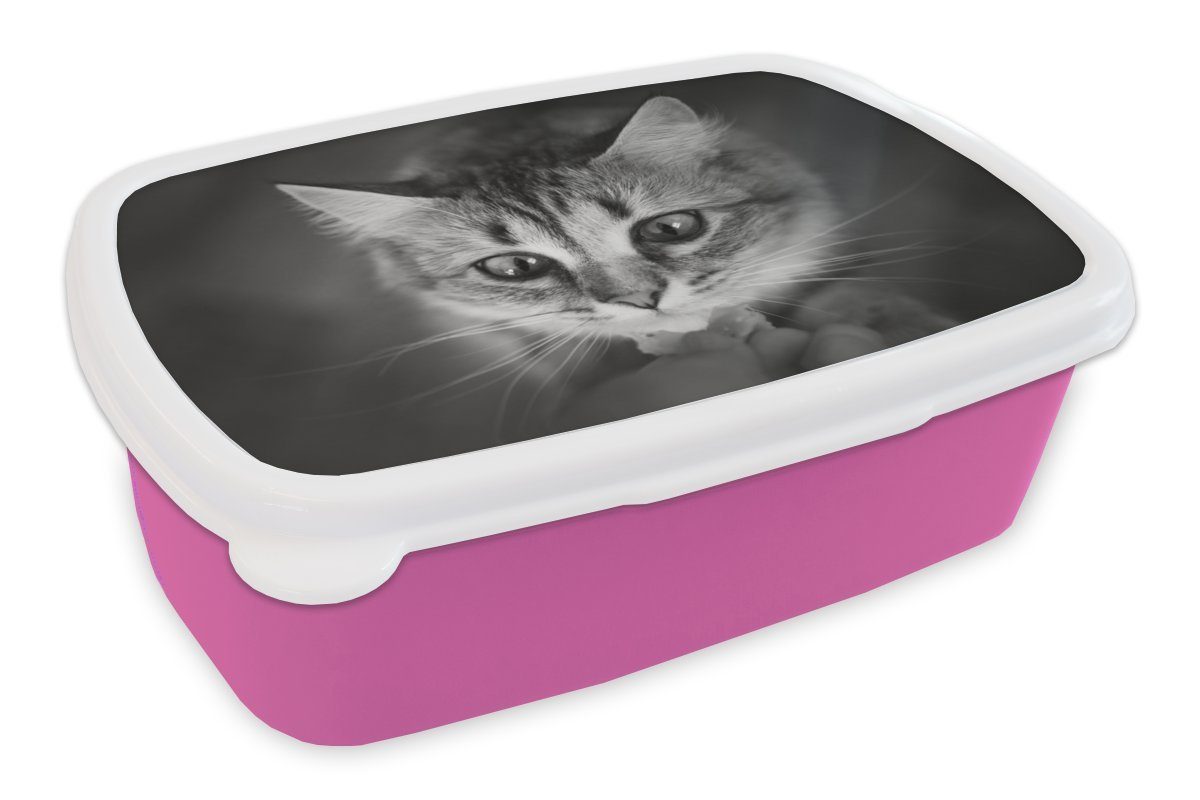 Kinder, Lunchbox und (2-tlg), schwarz rosa Kunststoff Tierprofil Erwachsene, Kunststoff, Mädchen, Snackbox, in Katze für weiß, MuchoWow Brotbox riechende Brotdose