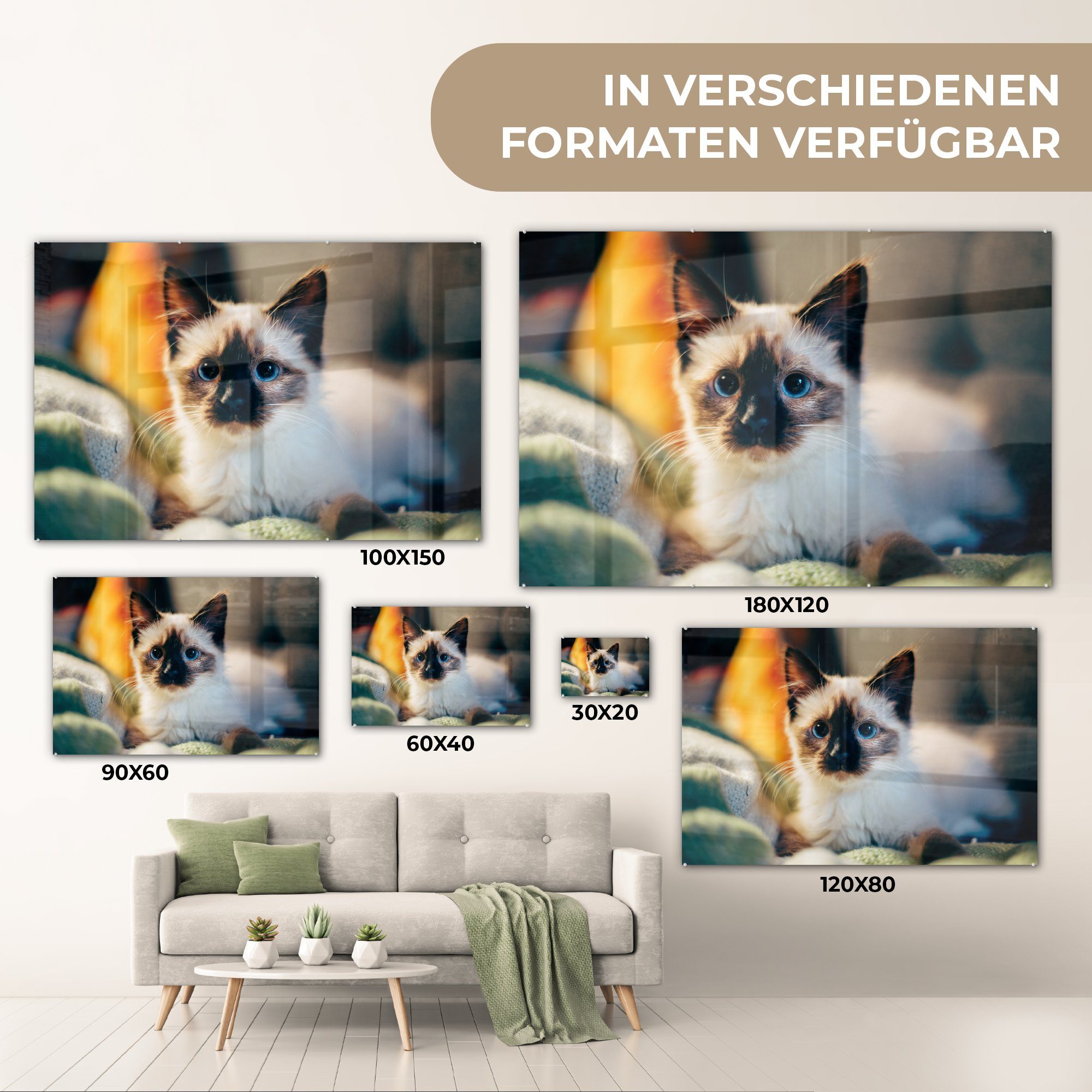Acrylglasbilder & Acrylglasbild Wohnzimmer - Fell Schwarz, - St), Schlafzimmer MuchoWow Katze (1