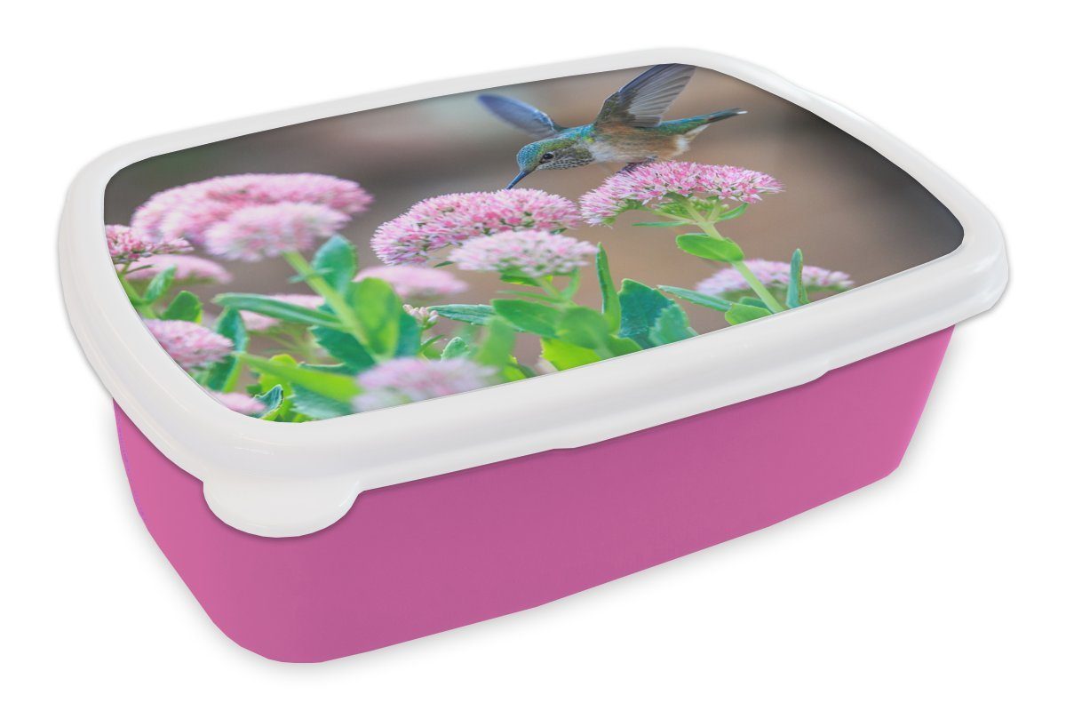 MuchoWow Lunchbox Blumen - Vogel - Kolibri, Kunststoff, (2-tlg), Brotbox für Erwachsene, Brotdose Kinder, Snackbox, Mädchen, Kunststoff rosa