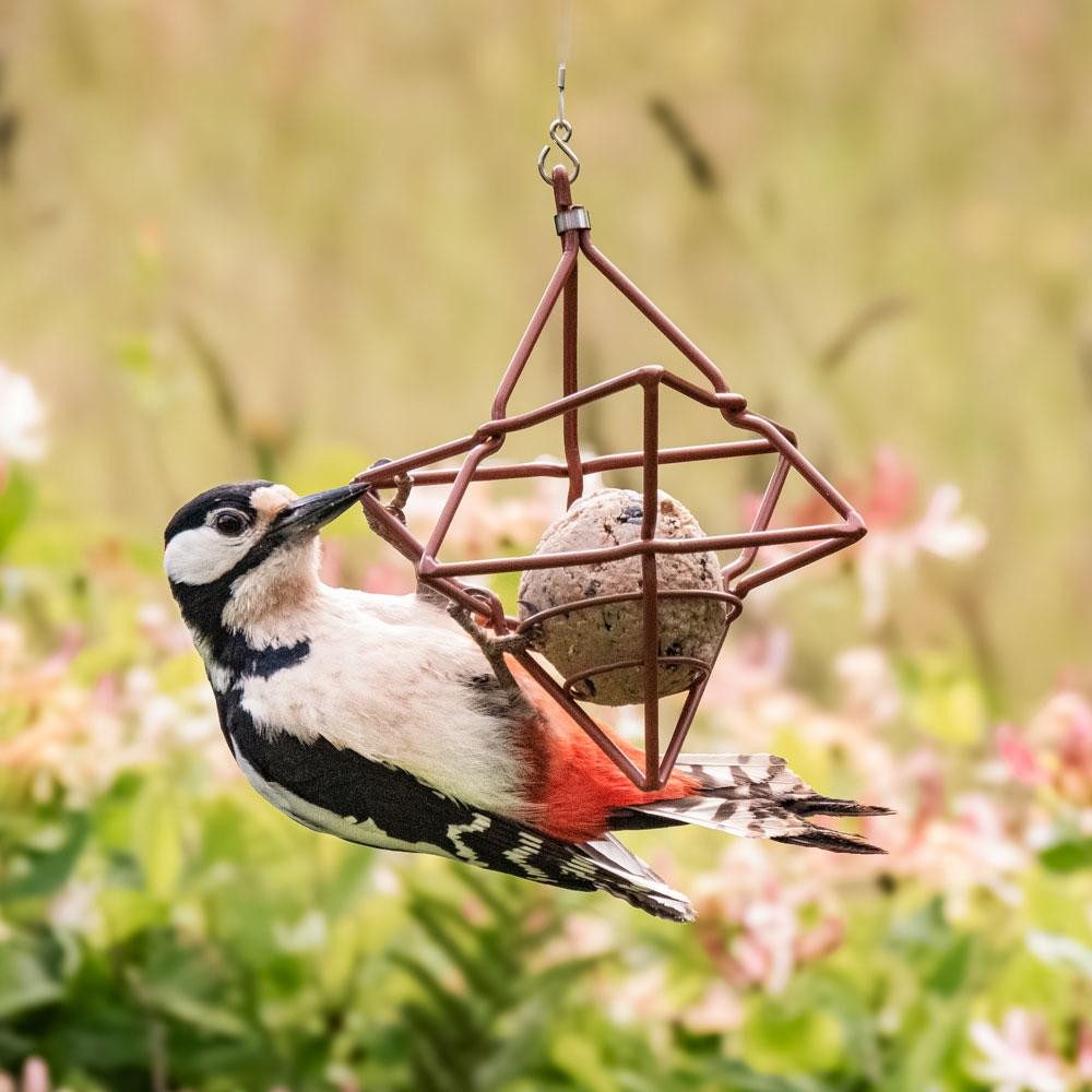Wildlife Garden Vogelhaus Meisenknödelspender Stern Rot günstig online kaufen