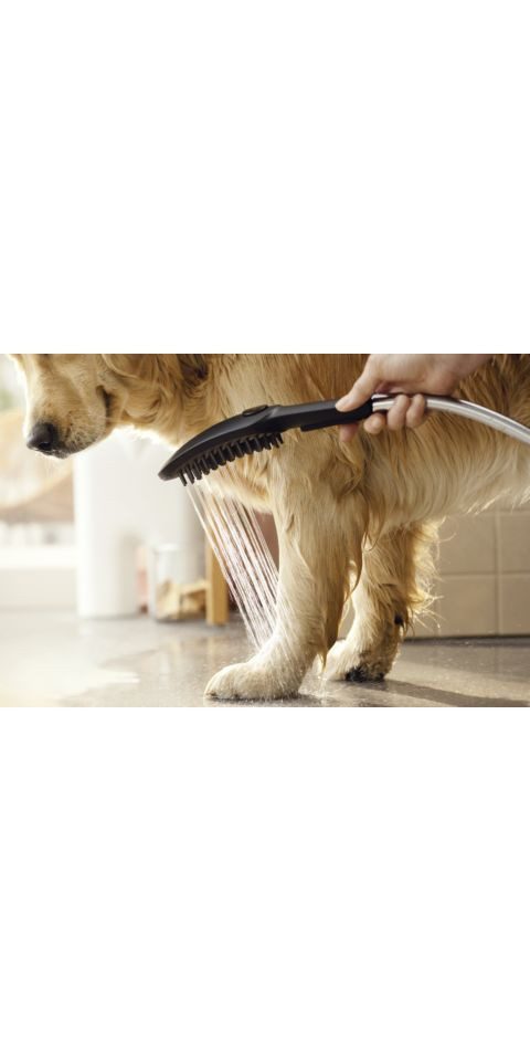 hansgrohe Handbrause