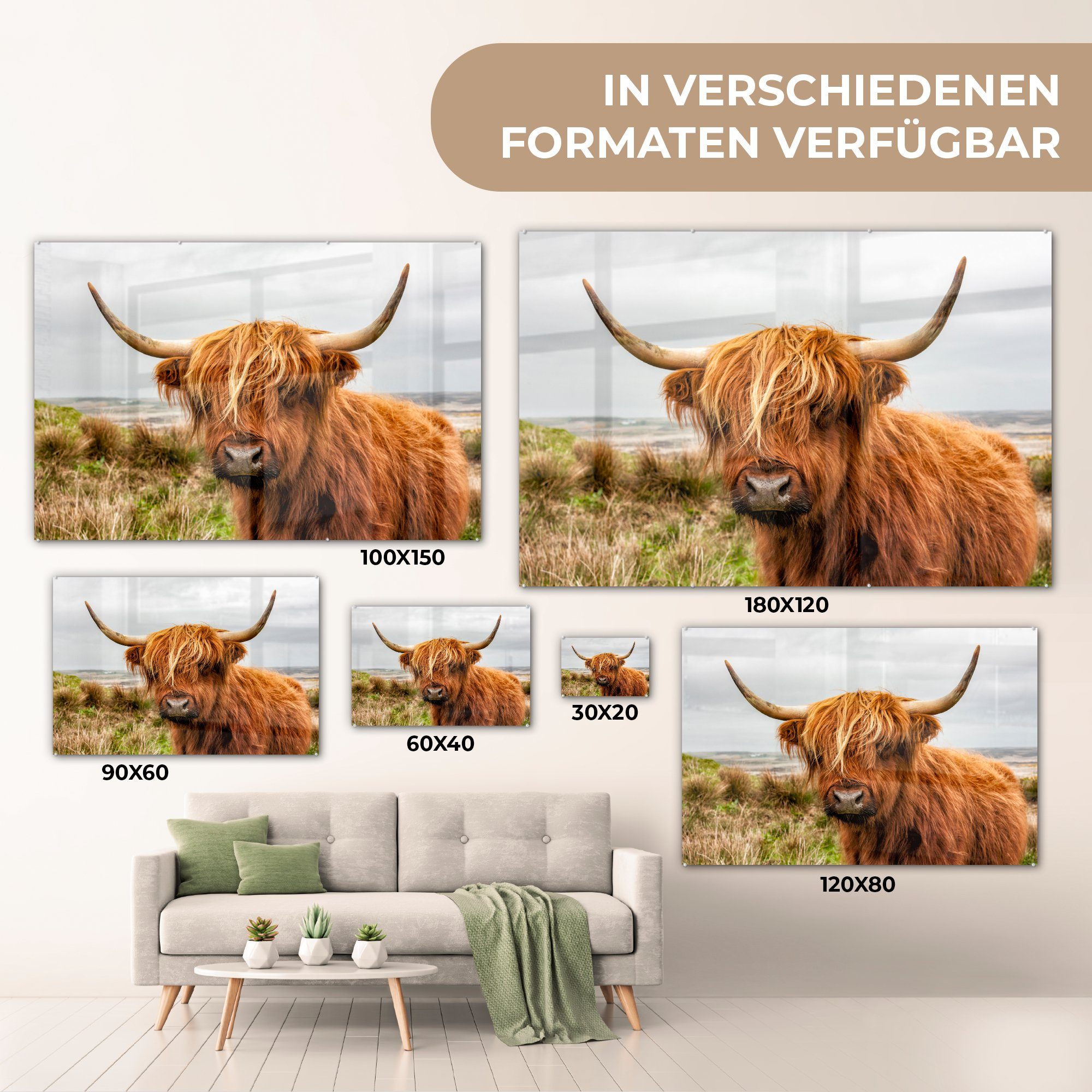 St), Schottischer (1 Kuh Acrylglasbild Schlafzimmer Highlander Dünen, - Acrylglasbilder MuchoWow & Wohnzimmer -