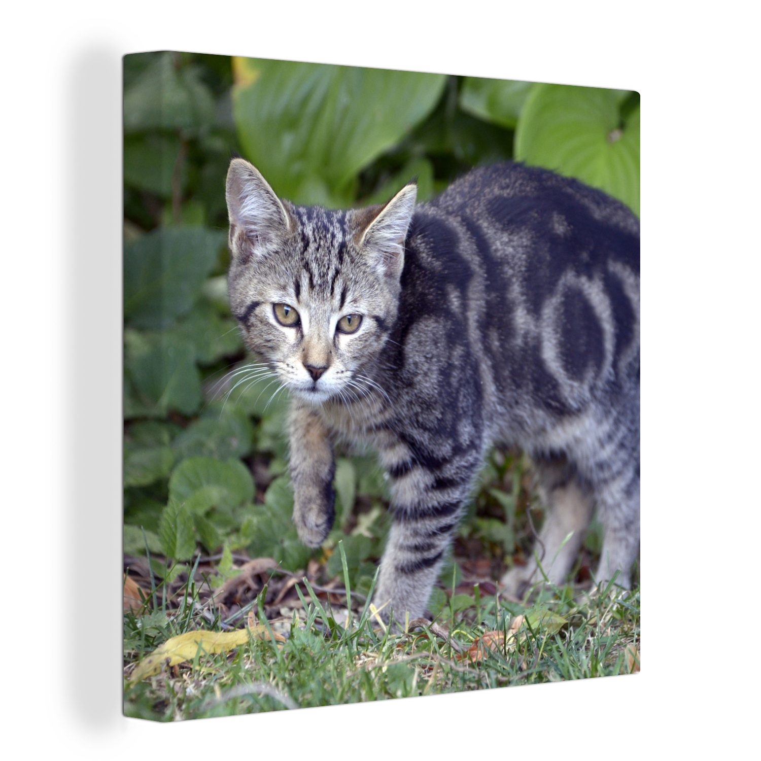 OneMillionCanvasses® Leinwandbild Katze - Haustier - Garten - Mädchen - Kinder - Kinder - Kind, (1 St), Leinwand Bilder für Wohnzimmer Schlafzimmer bunt