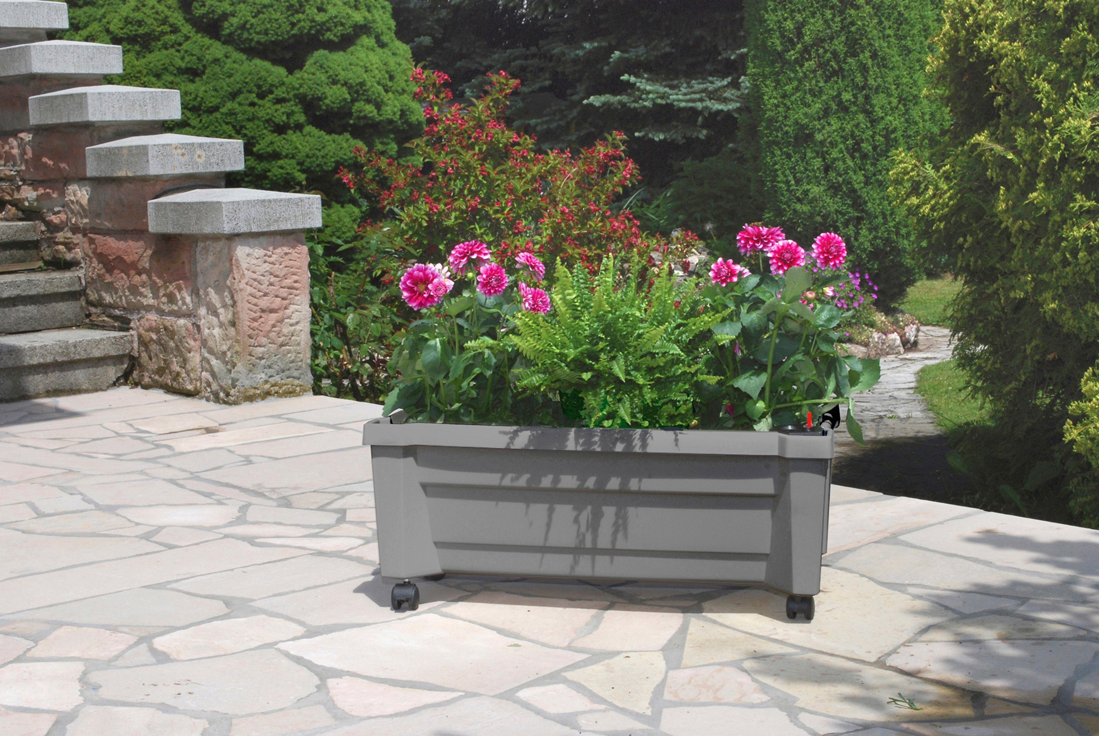 KHW Pflanzkübel Calypso, auf Rollen mit Bewässerungssystem, BxTxH: 79x35x33 cm