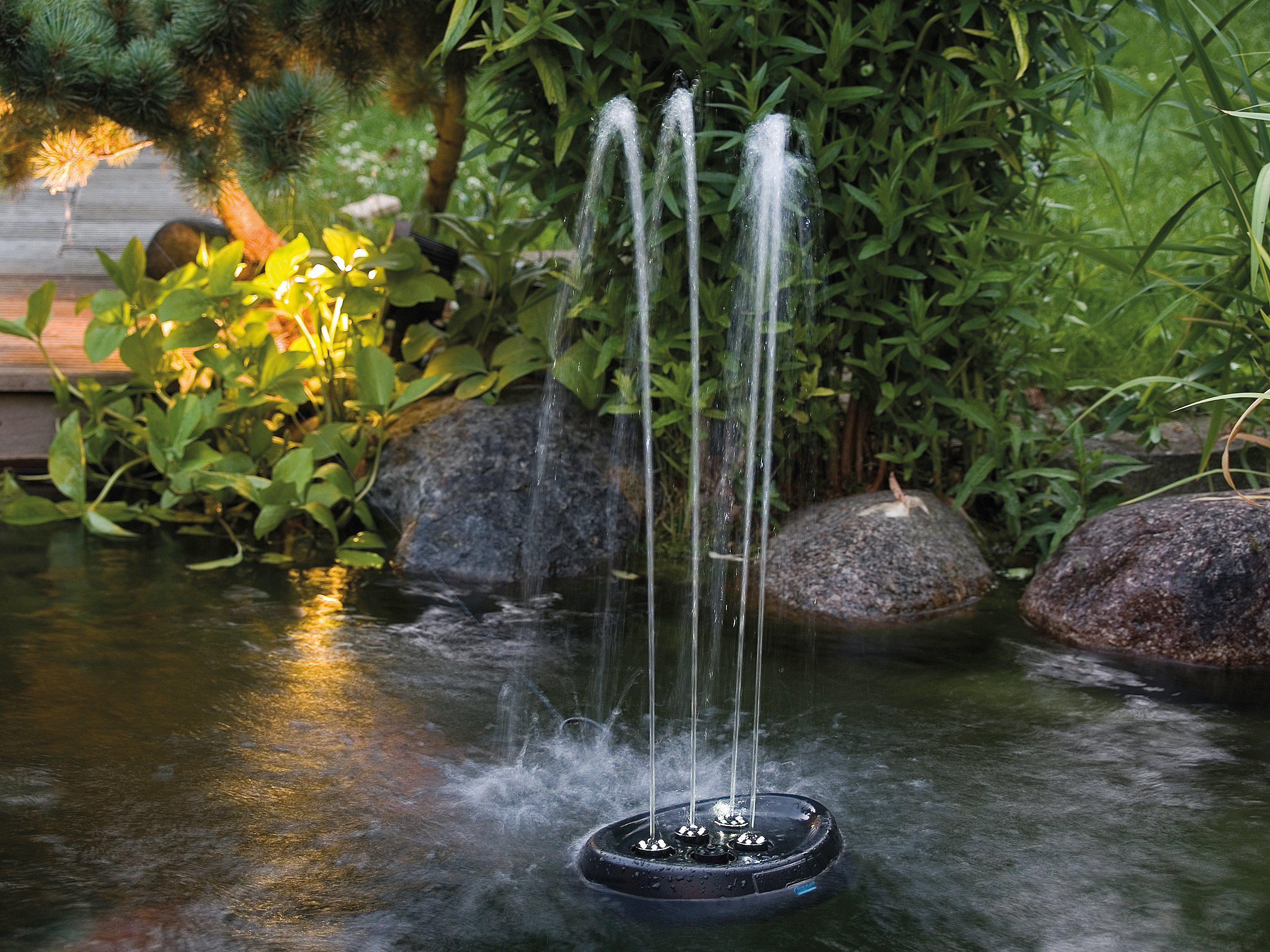 Water BxLxH: Wasserspeier mit OASE Starlet, LED-Beleuchtung cm, 28,5x37,5x17,5