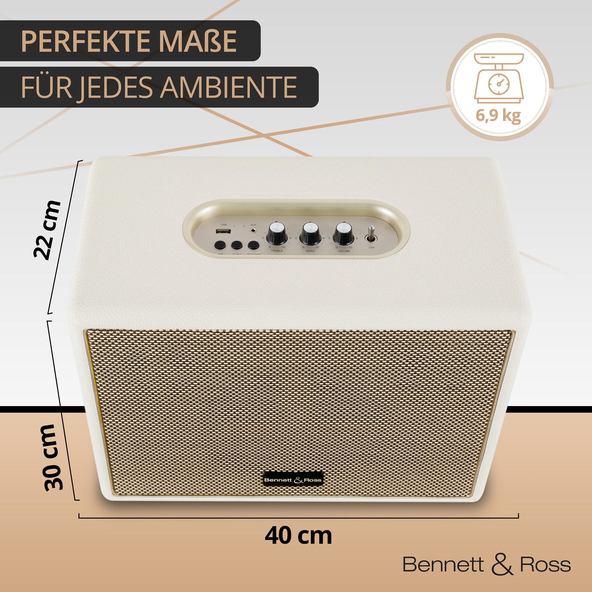 Bennett & Ross BB-880 Blackmore Giant Bluetooth-Speaker (80 W, Retro Lautsprecher in Lederoptik mit TWS-Funktion)
