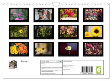 CALVENDO Wandkalender Blumen (Wandkalender 2024 DIN A4 quer), CALVENDO Monatskalender