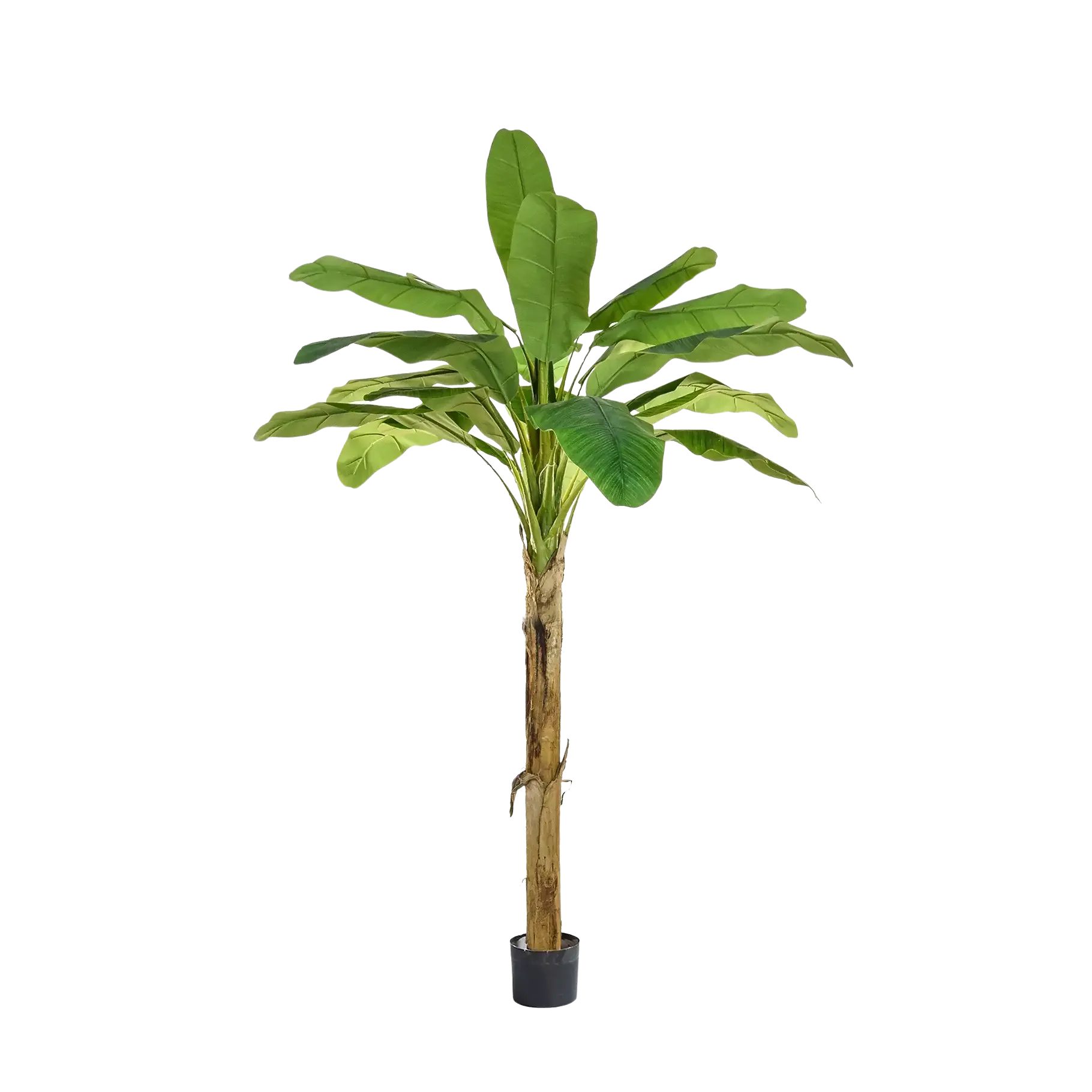 Kunstbaum Künstlicher Bananenbaum - Jonas, 180 cm, aplanta, Höhe 180 cm