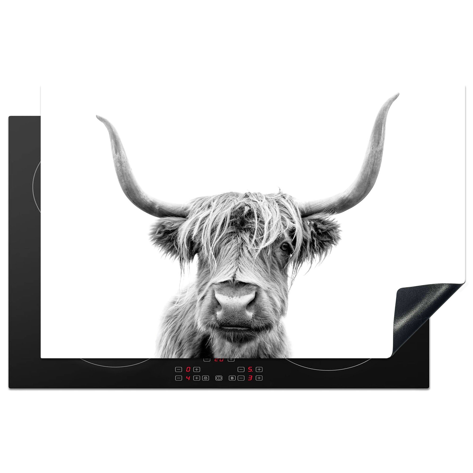 MuchoWow Herdblende-/Abdeckplatte Scottish Highlander - Stier - Schwarz - Weiß, Vinyl, (1 tlg), 81x52 cm, Induktionskochfeld Schutz für die küche, Ceranfeldabdeckung