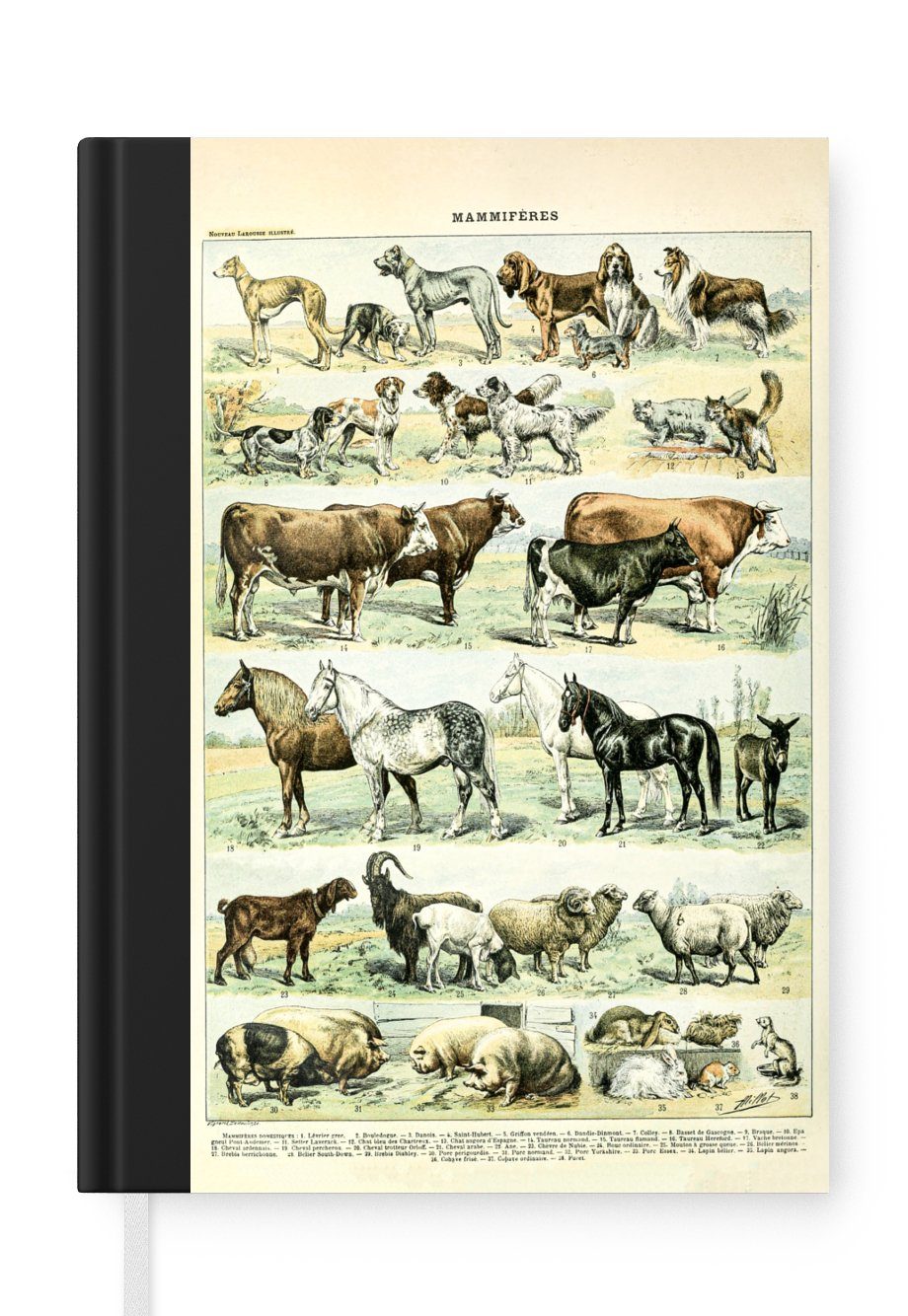 MuchoWow Notizbuch Tiere - Pferde - Illustration - Vintage - Adolphe Millot, Journal, Merkzettel, Tagebuch, Notizheft, A5, 98 Seiten, Haushaltsbuch