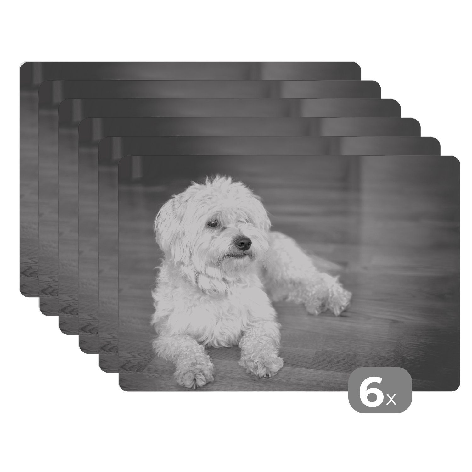 Platzset, Schwarz-Weiß-Bild eines Maltesers, MuchoWow, (6-St), Platzset, Platzdecken, Platzmatte, Tischmatten, Schmutzabweisend