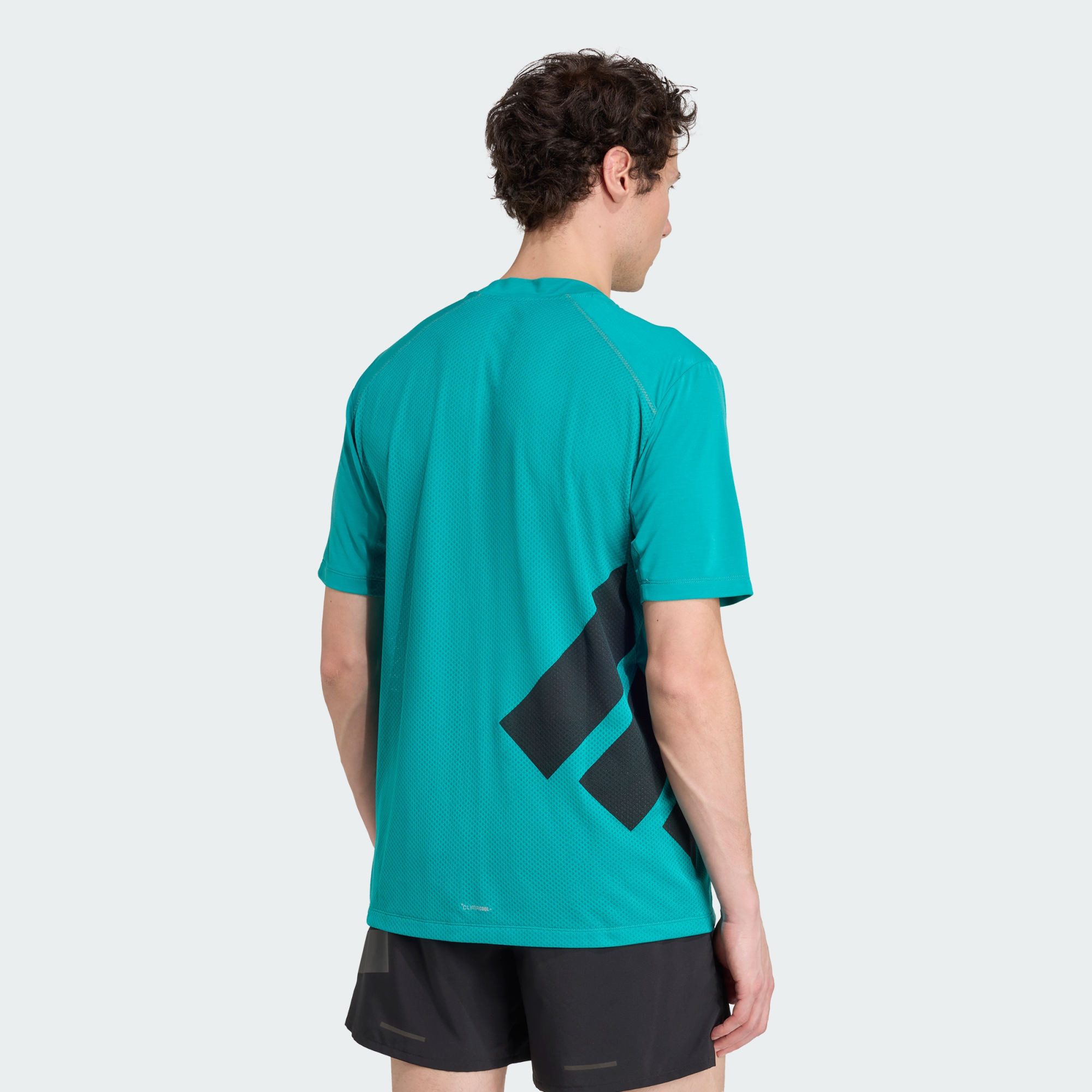 adidas TERREX Funktionsshirt TERREX XPERIOR CLIMACOOL+ T-SHIRT (1-tlg) günstig online kaufen
