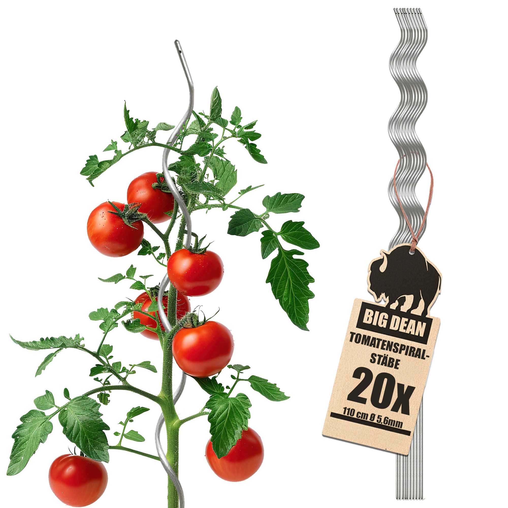 BigDean Rankgitter Tomatenspiralstäbe 110cm verzinkt Rankstab Ranke Pflanzstab Set, 20 St., Tomatenstäbe, Spiralstab, Mit Bindeloch