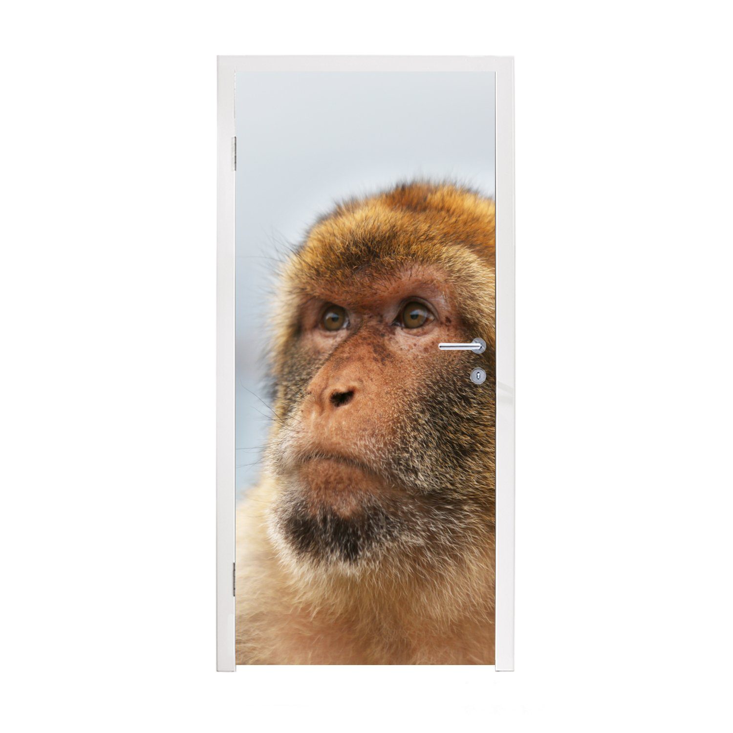 MuchoWow Türtapete Affe - Tiere - Porträt - Landschaft, Matt, bedruckt, (1 St), Fototapete für Tür, Türaufkleber, 75x205 cm