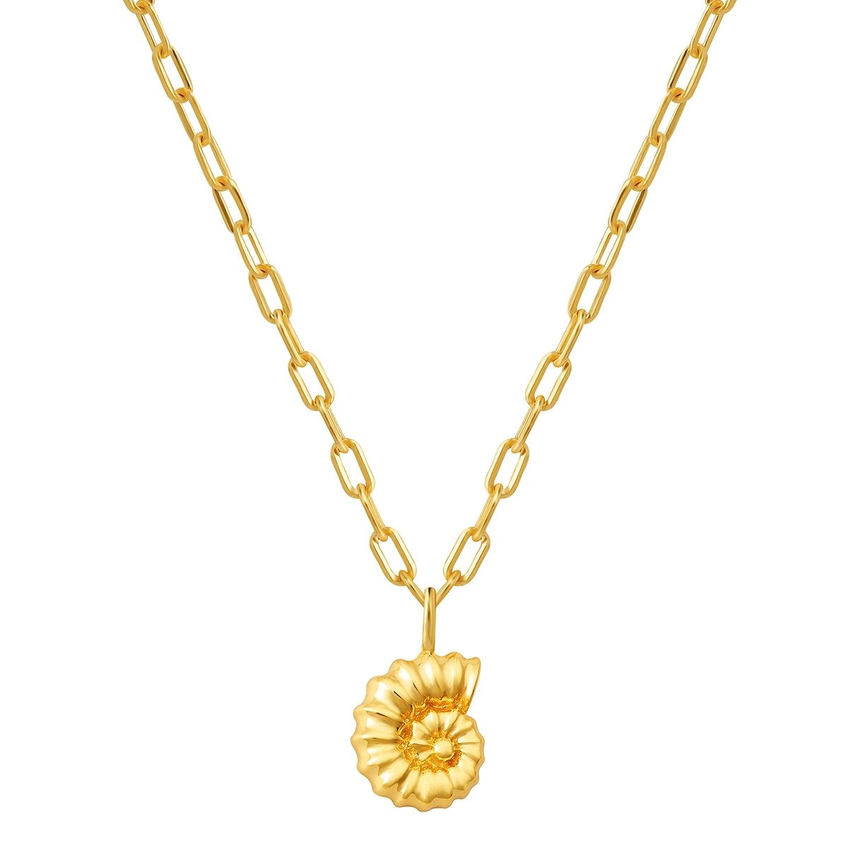 Silberkette Muschel gelbgold