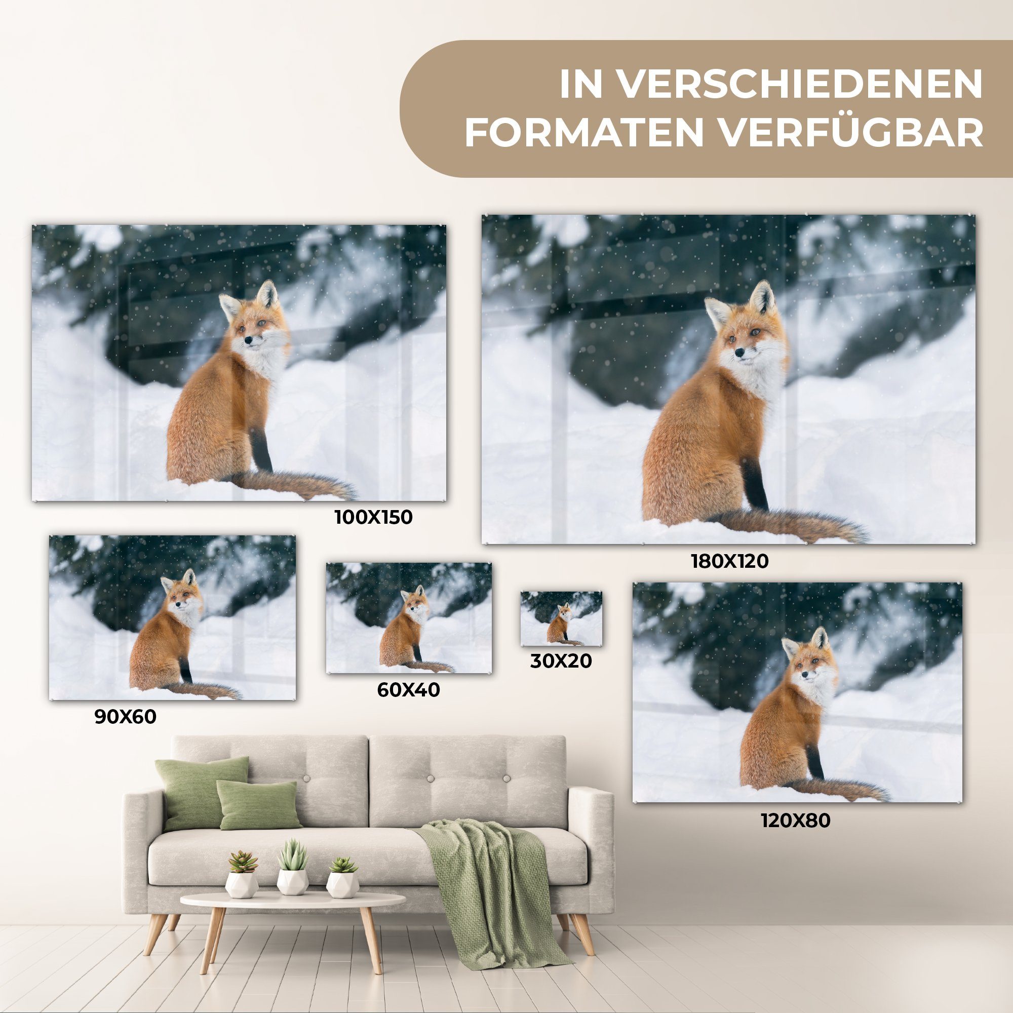 (1 MuchoWow & Schnee Acrylglasbild Acrylglasbilder Tier Fuchs Schlafzimmer Wohnzimmer - St), - - Kanada,