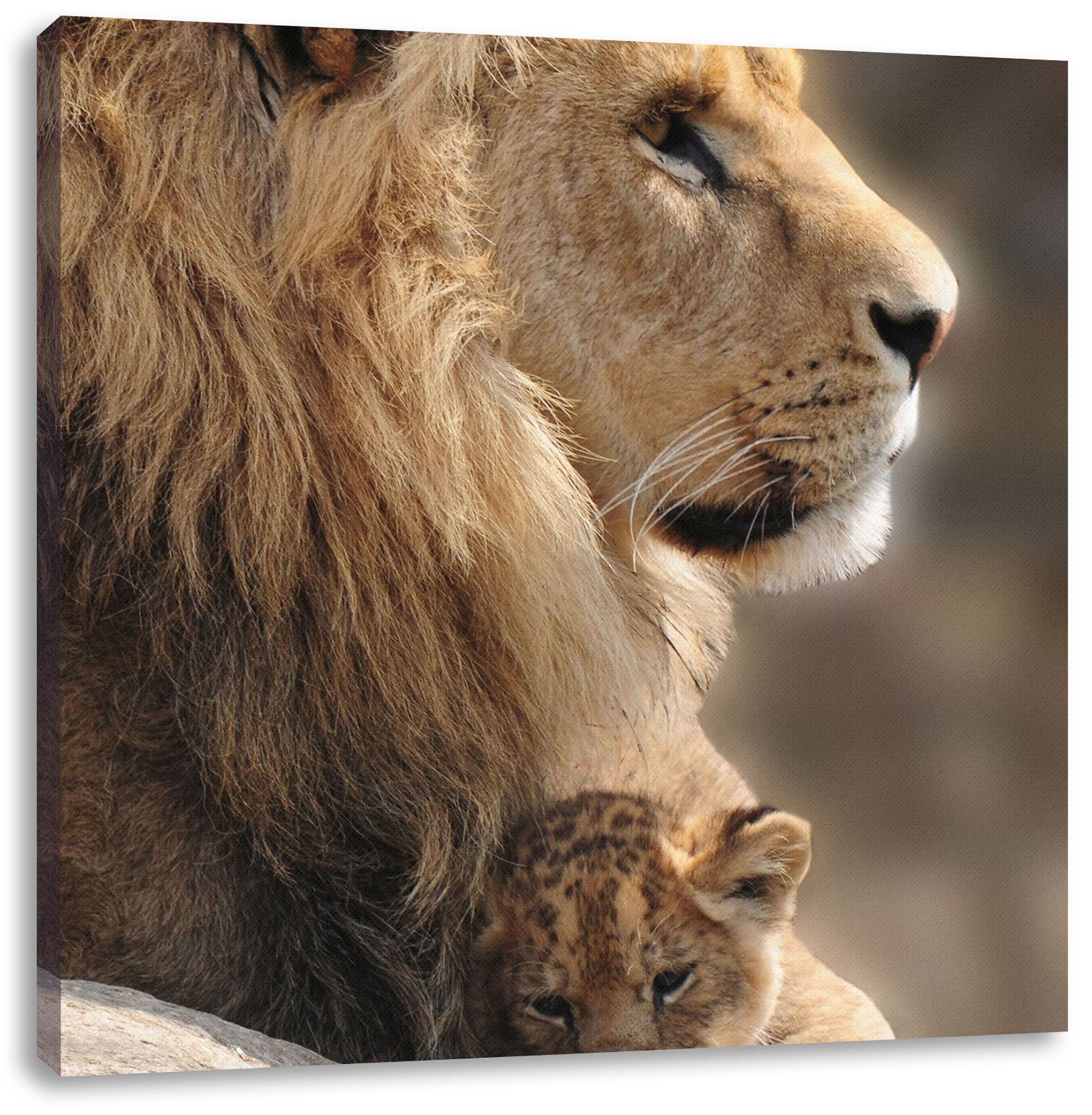 Pixxprint Leinwandbild Löwe mit Löwenbaby, Löwe mit Löwenbaby (1 St), Leinwandbild fertig bespannt, inkl. Zackenaufhänger