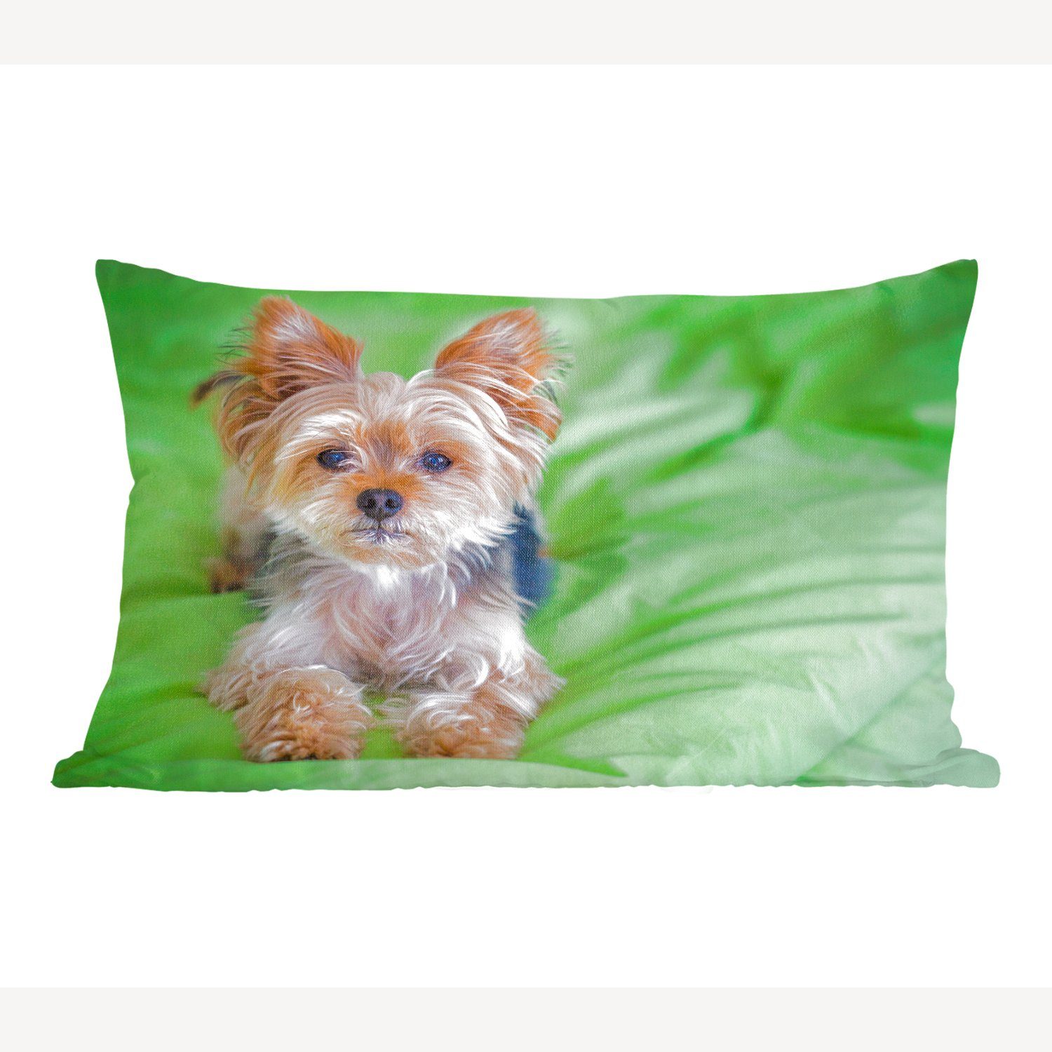 MuchoWow Dekokissen Ein Yorkshire Terrier liegt auf einem grünen Kissen, Wohzimmer Dekoration, Zierkissen, Dekokissen mit Füllung, Schlafzimmer