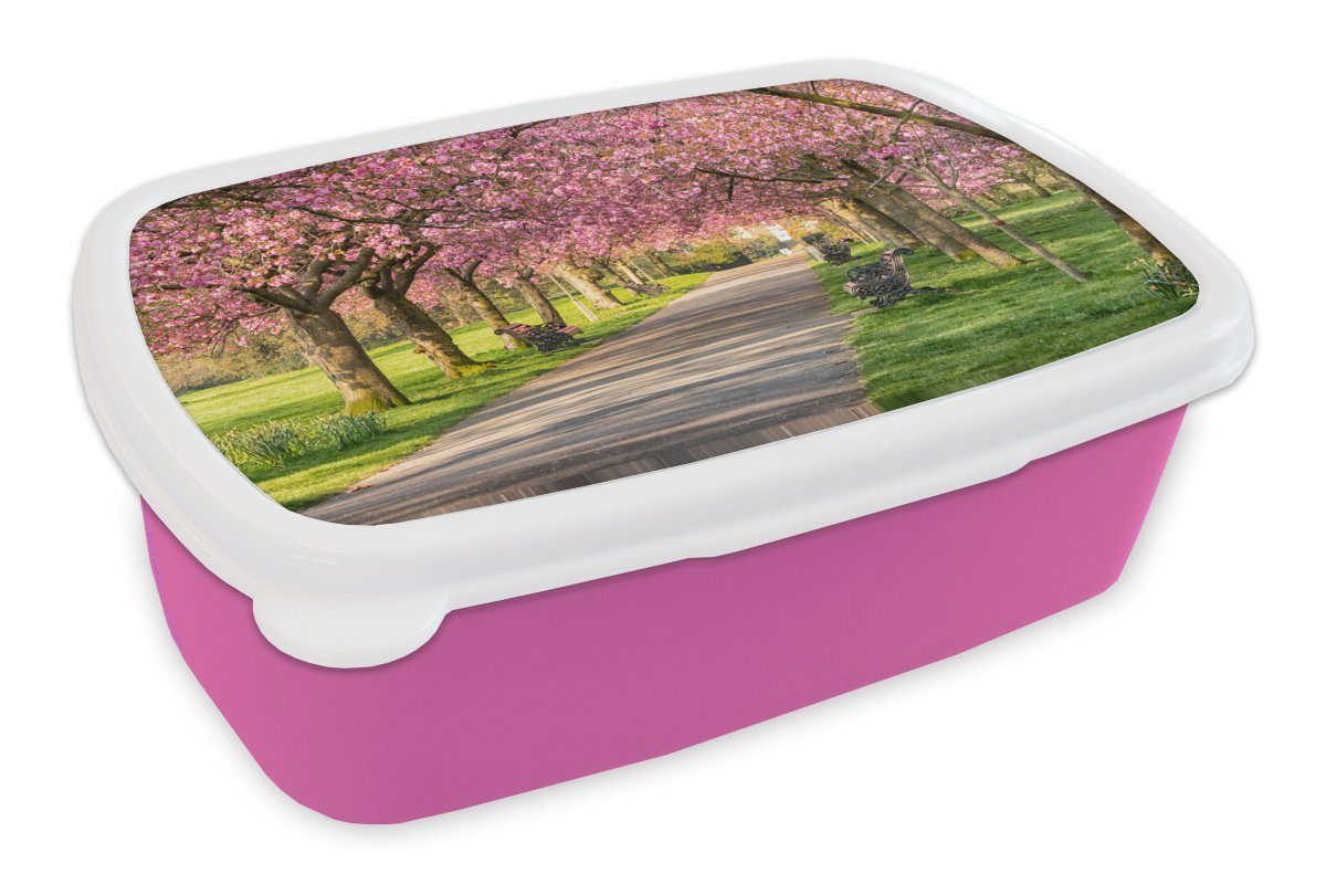 - - für Brotbox Kinder, Mädchen, Rosa, (2-tlg), Blüte Kunststoff Snackbox, Brotdose Lunchbox Bäume MuchoWow Erwachsene, Kunststoff,