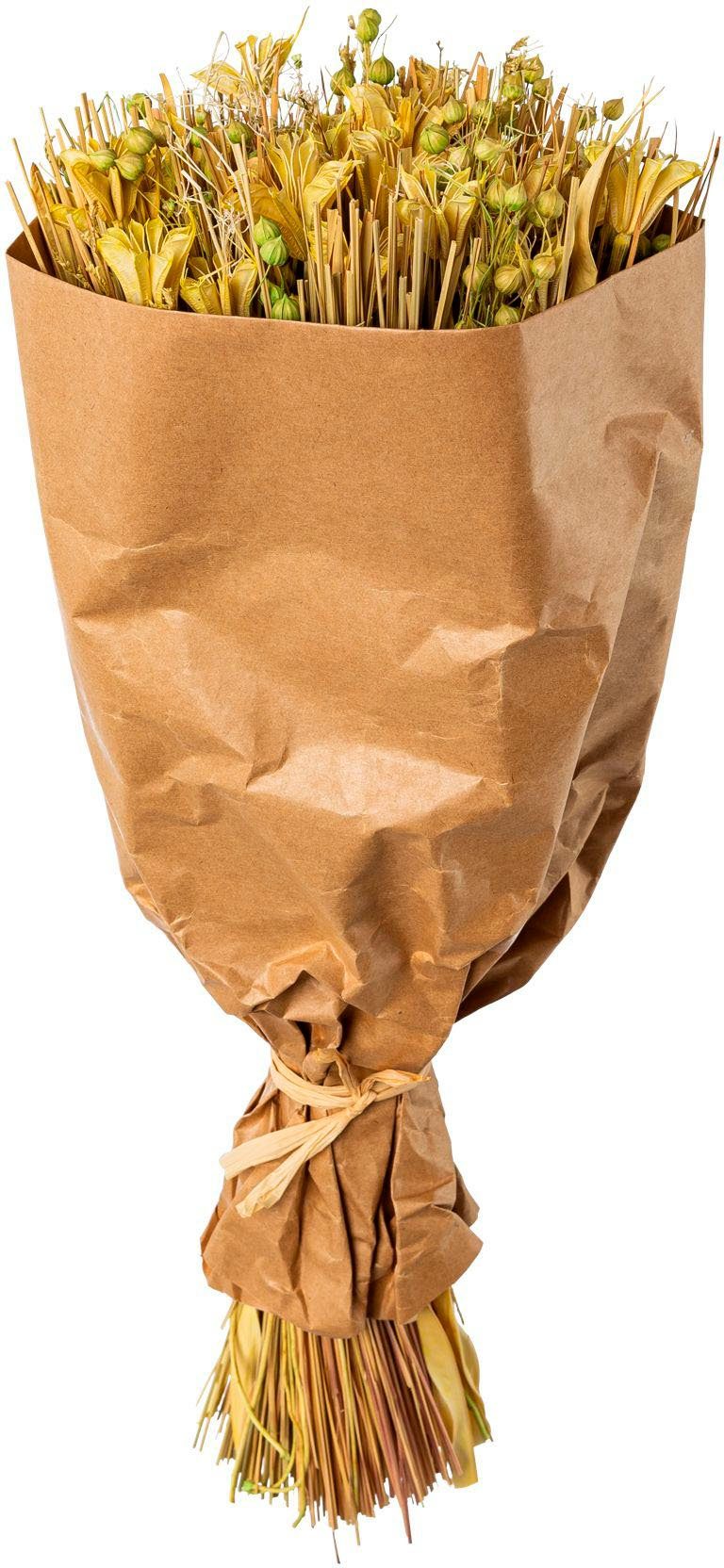 Trockenblume Trockenblumenbouquet