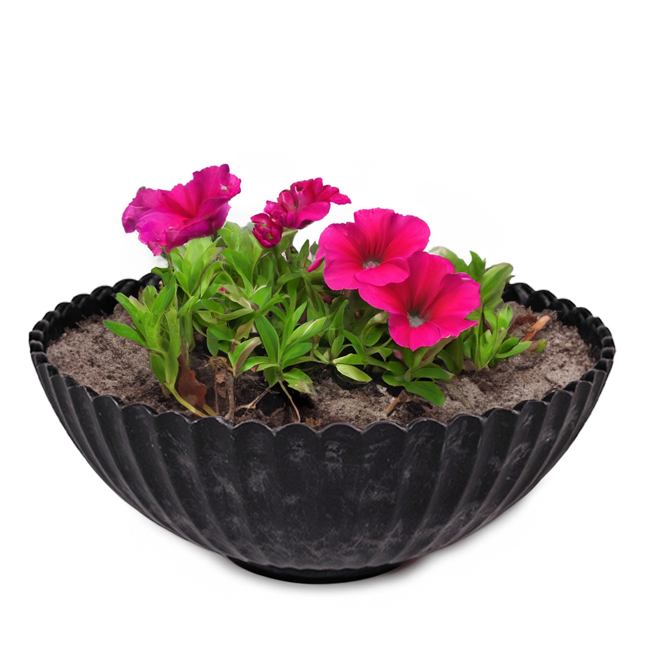 matches21 HOME & HOBBY Blumentopf Runde günstig online kaufen