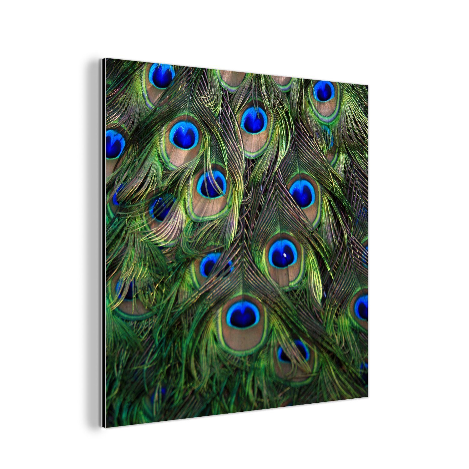 - MuchoWow St), Gemälde Alu-Dibond-Druck, (1 Metall, Pfau Metallbild Blau, Aluminium - Federn - Augen aus deko